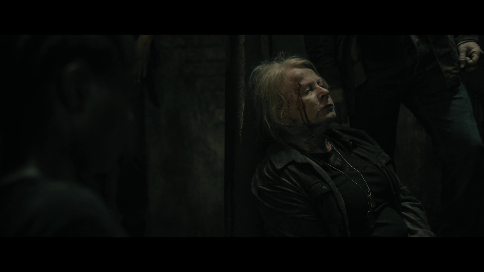 40英亩 [简繁英字幕].40.Acres.2024.REMUX.Bluray.1080p.AVC.DTS-HDMA5.1-DreamHD 20.66GB-6.png
