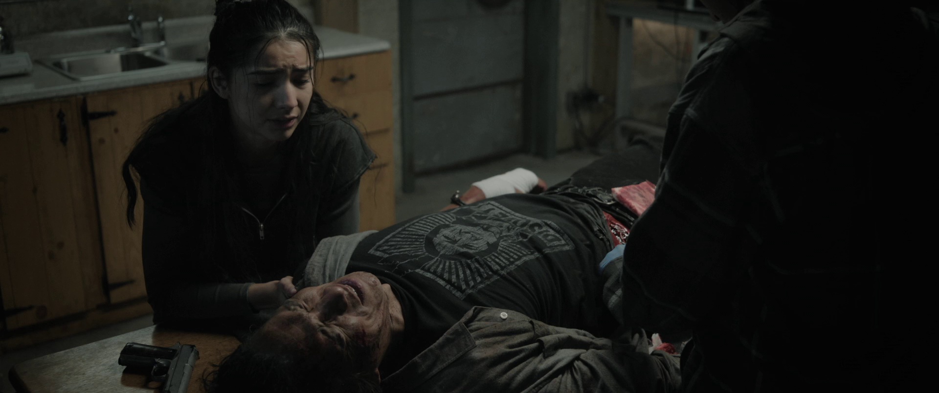 40英亩 [简繁英字幕].40.Acres.2024.Bluray.1080p.DTS-HDMA5.1.x264-DreamHD 14.74GB-3.png
