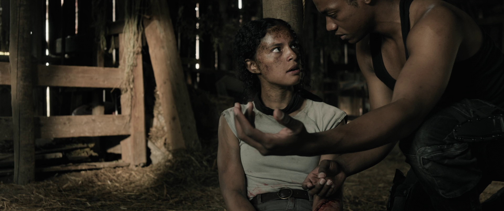 40英亩 [简繁英字幕].40.Acres.2024.Bluray.1080p.DTS-HDMA5.1.x264-DreamHD 14.74GB-6.png