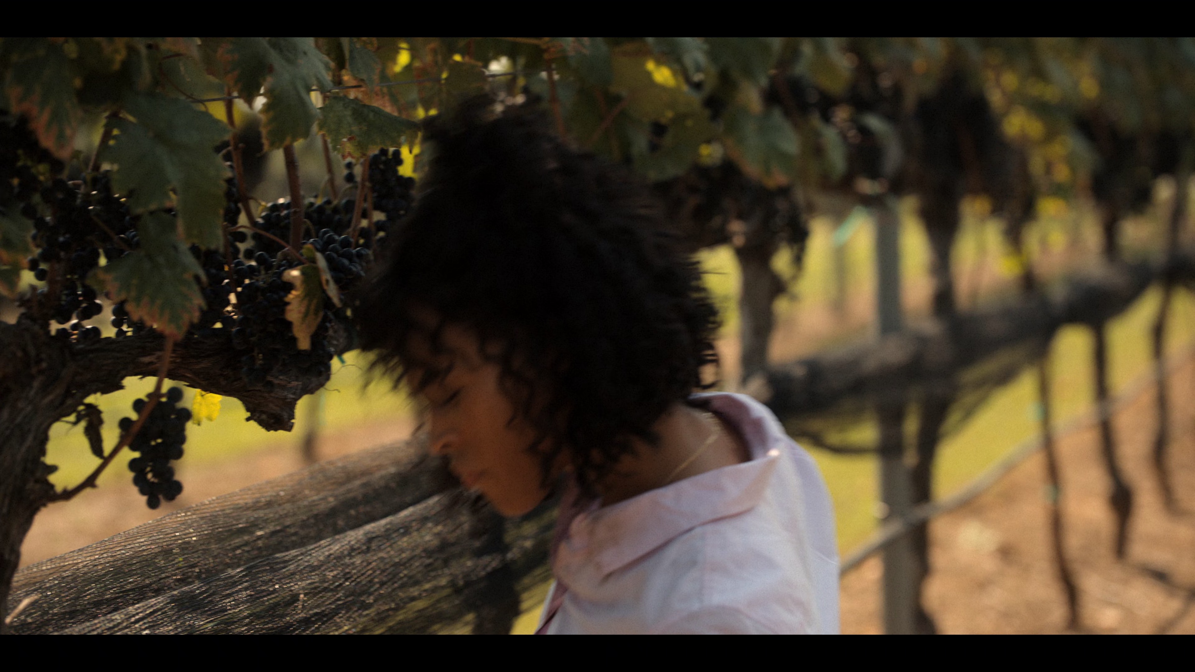 路得遇见波阿斯 [简繁英字幕].Ruth.&.Boaz.2025.2160p.NF.WEB-DL.DDP.5.1.Atmos.H.265-DreamHD 8.34GB-3.png