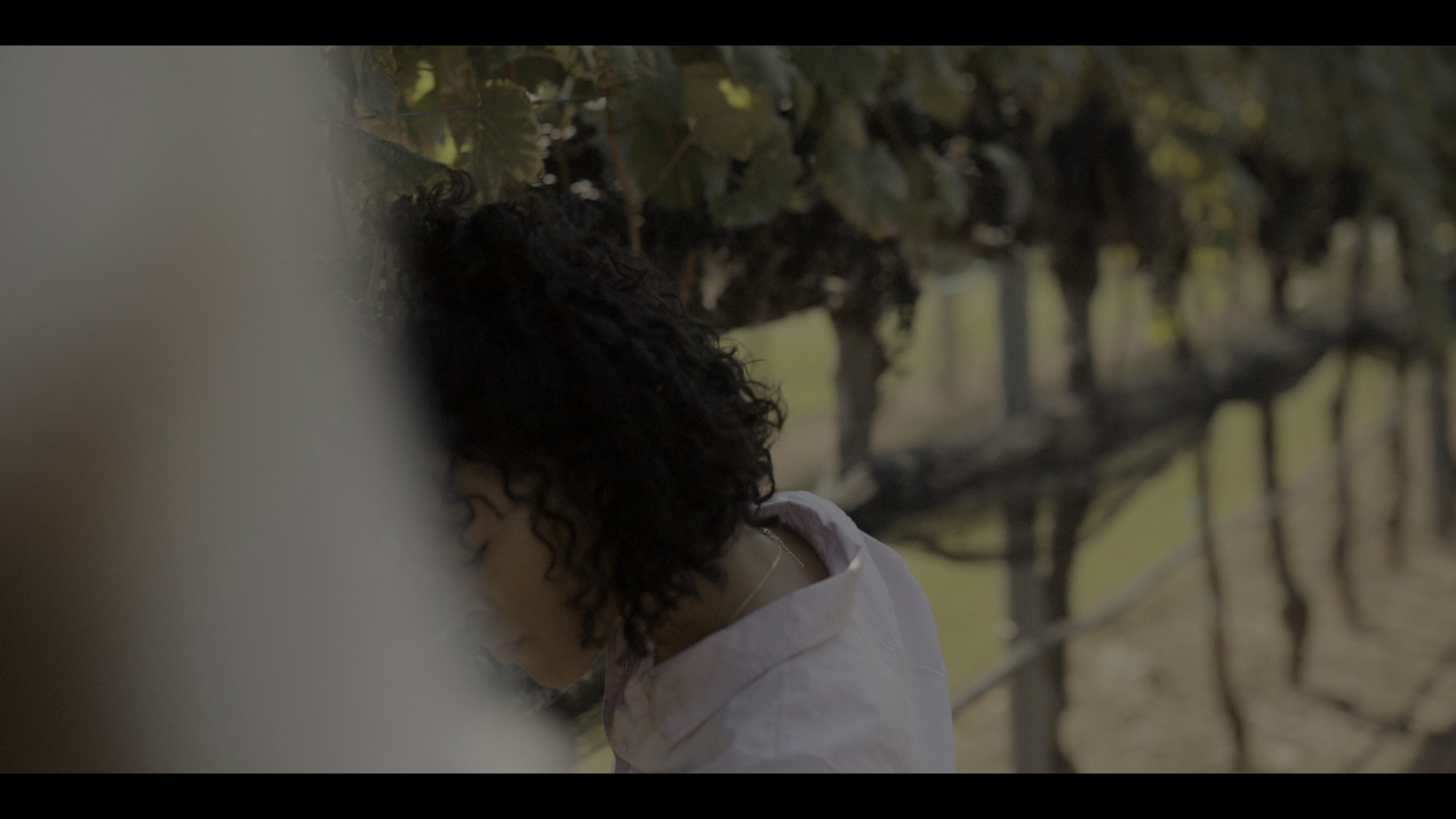 路得遇见波阿斯 [简繁英字幕].Ruth.&.Boaz.2025.2160p.NF.WEB-DL.DDP5.1.Atmos.HDR.H.265-PandaQT 12.93GB-3.png