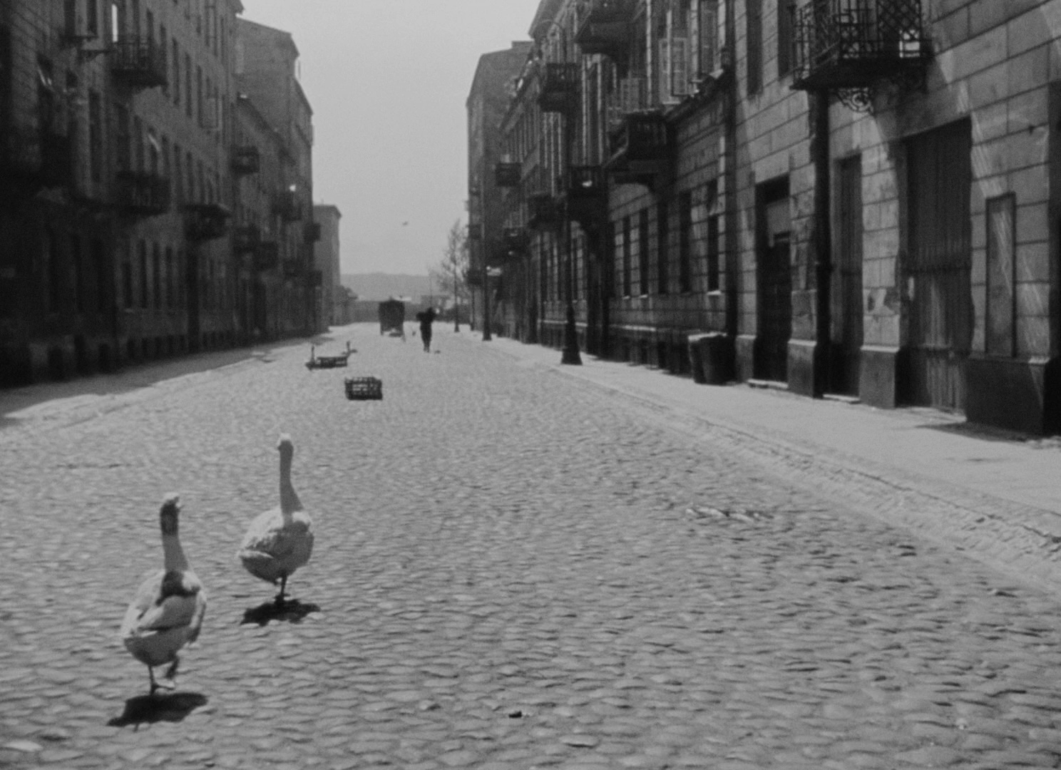 一代人 [简繁英字幕].A.Generation.1955.1080p.BluRay.x264.FLAC.2.0-QuickIO 7.54GB-6.png