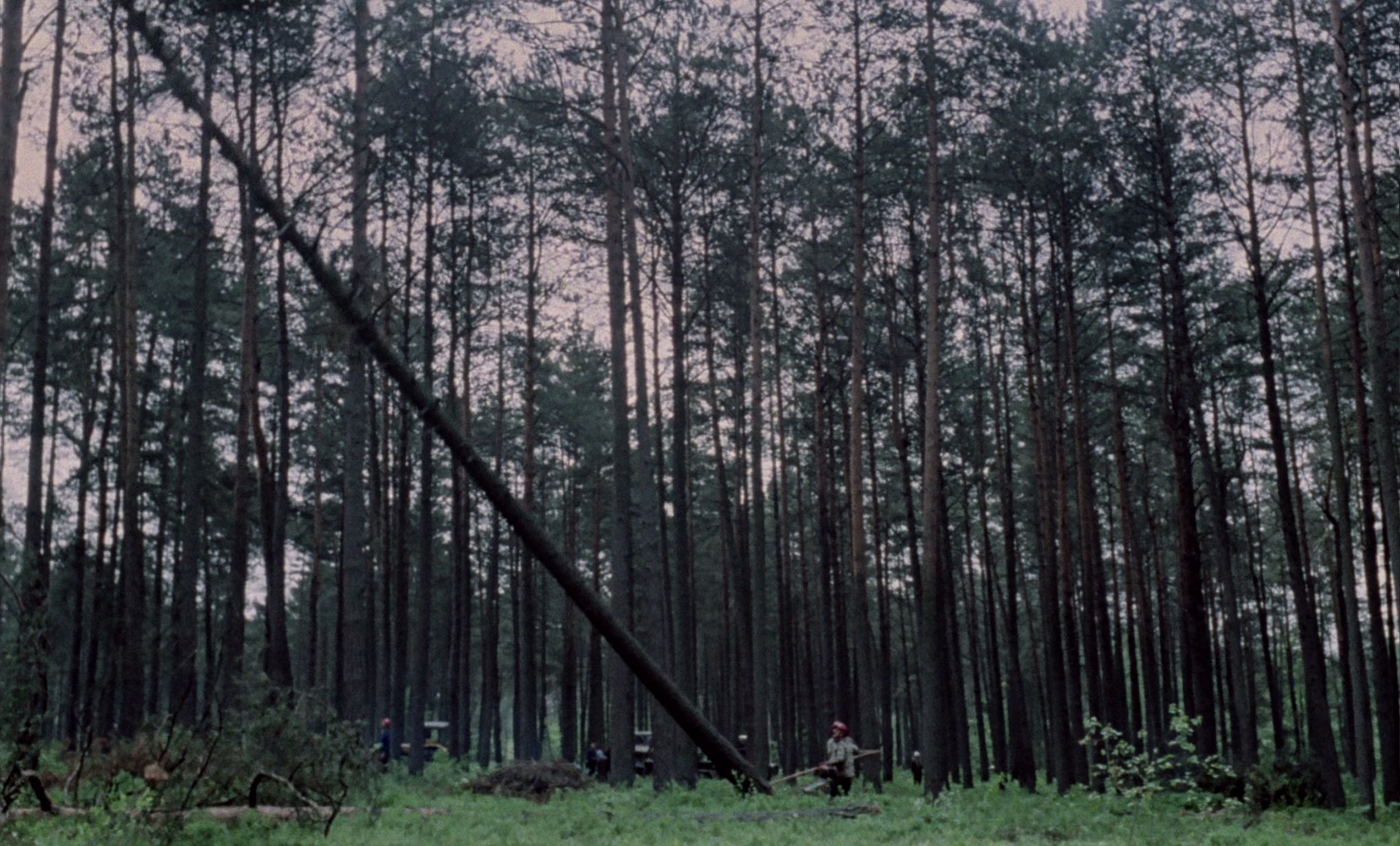 生命的烙印 [简繁英字幕].The.Scar.1976.1080p.BluRay.x265.10bit.DTS-QuickIO 5.89GB-2.png