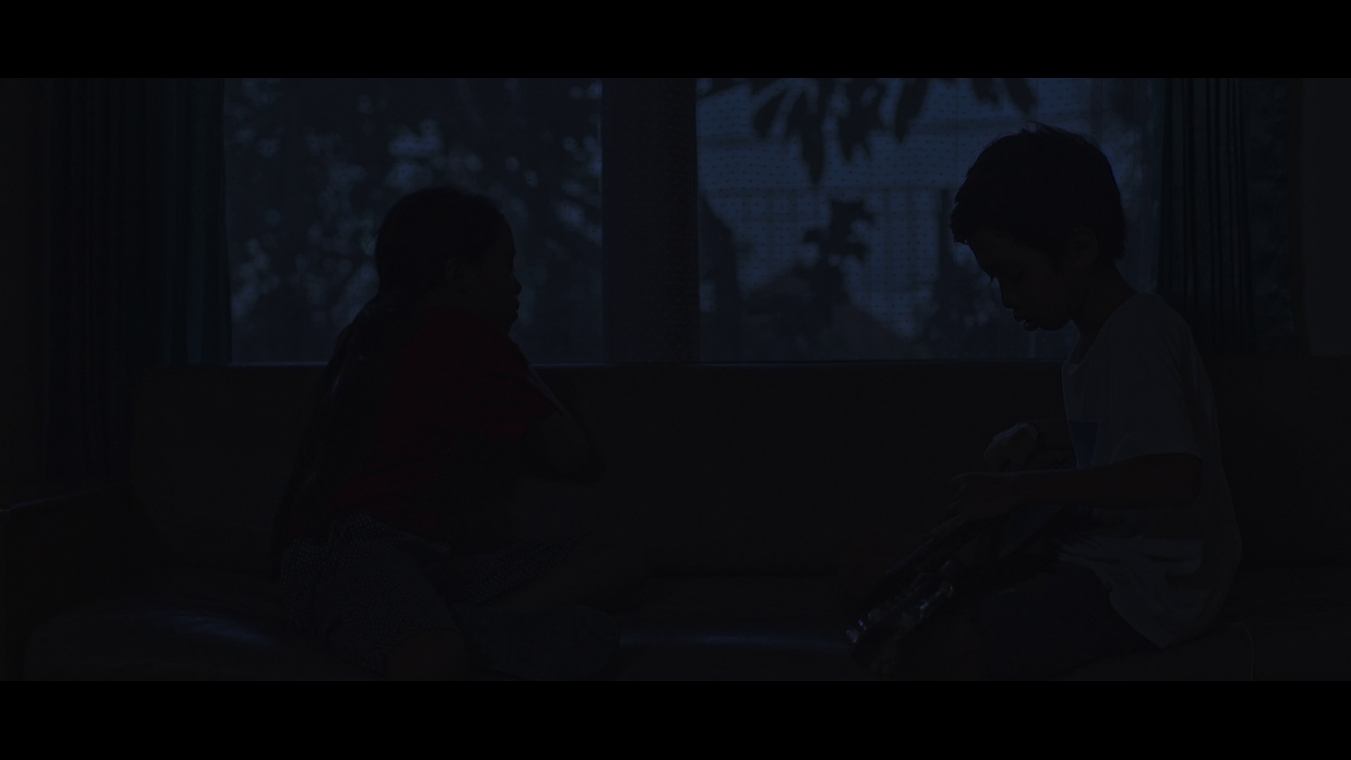 亦真亦幻 [无字片源].The.Seen.and.Unseen.2017.1080p.NF.WEB-DL.DDP.5.1.H.264-DreamHD 3.31GB-4.png