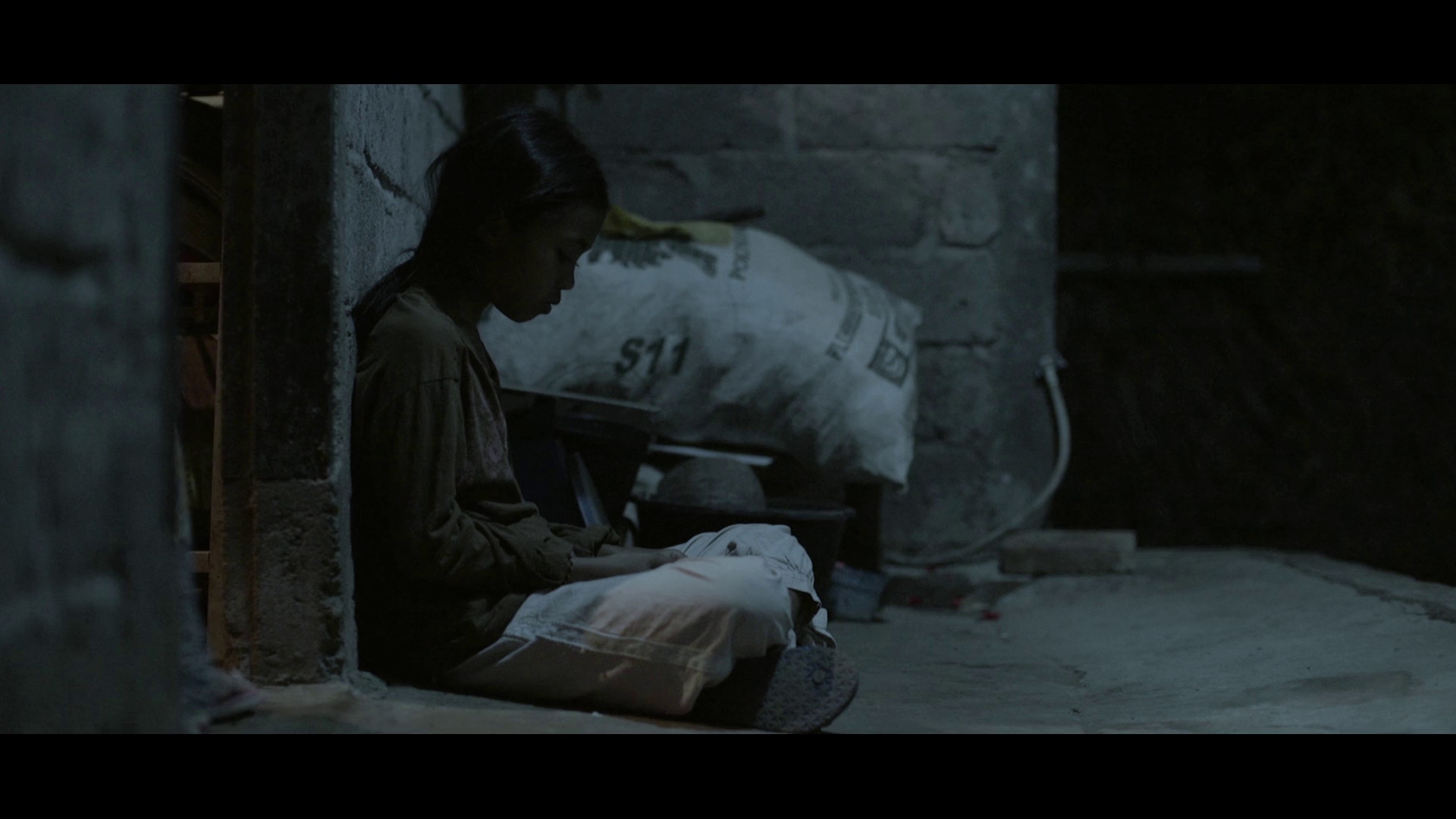 亦真亦幻 [无字片源].The.Seen.and.Unseen.2017.1080p.NF.WEB-DL.DDP.5.1.H.264-DreamHD 3.31GB-6.png