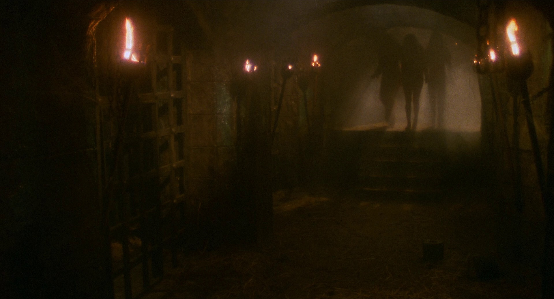 巫术神剑 [国英多音轨/中文字幕].The.Sword.and.The.Sorcerer.1982.BluRay.1080p.DTS-HD.MA.5.1.x264-DreamHD 13.39GB-6.png