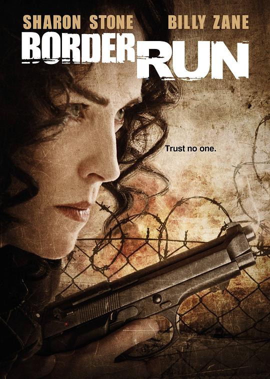 边境执行 [中文字幕].Border.Run.2013.REMUX.Bluray.1080p.AVC.TrueHD5.1-DreamHD 19.05GB-1.png