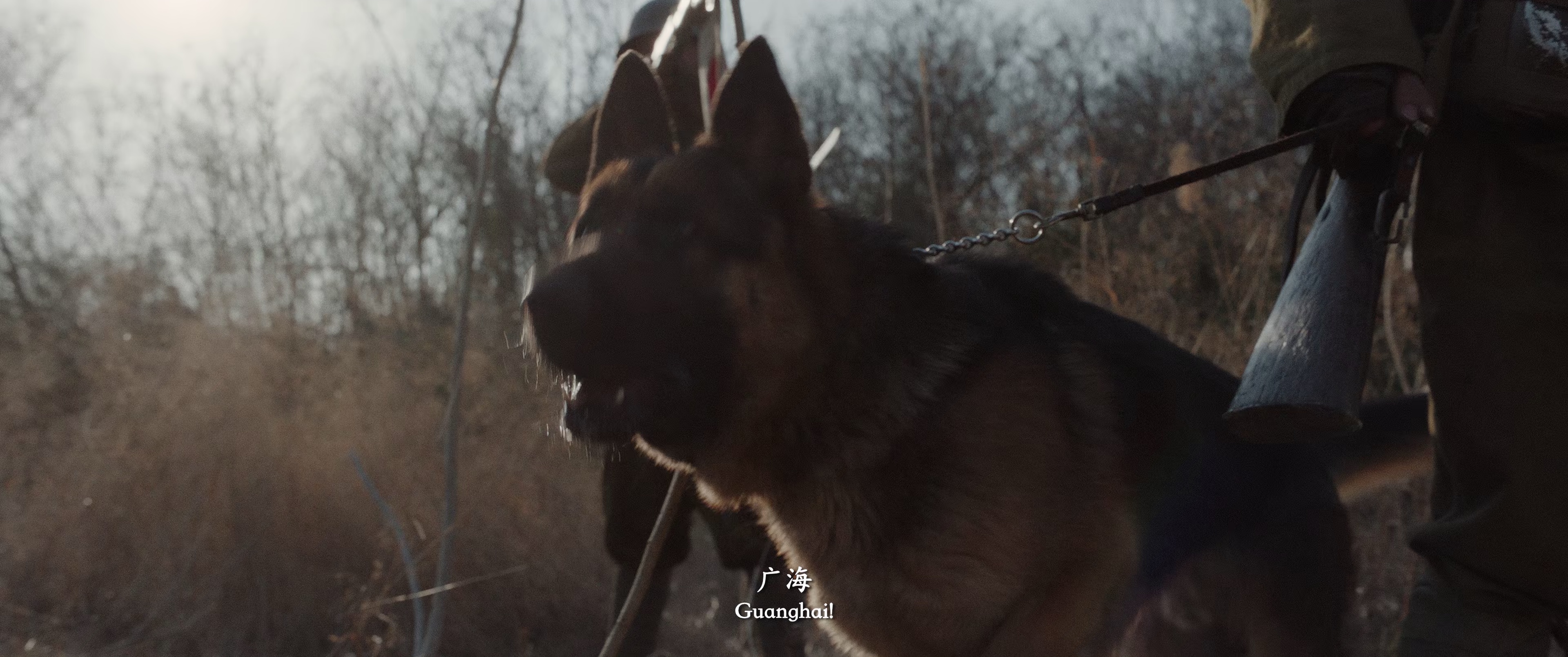 南京照相馆 [国语配音/中文字幕].Dead.To.Rights.2025.2160p.WEB-DL.H265.HDR.DTS-QuickIO 3.66GB-5.png