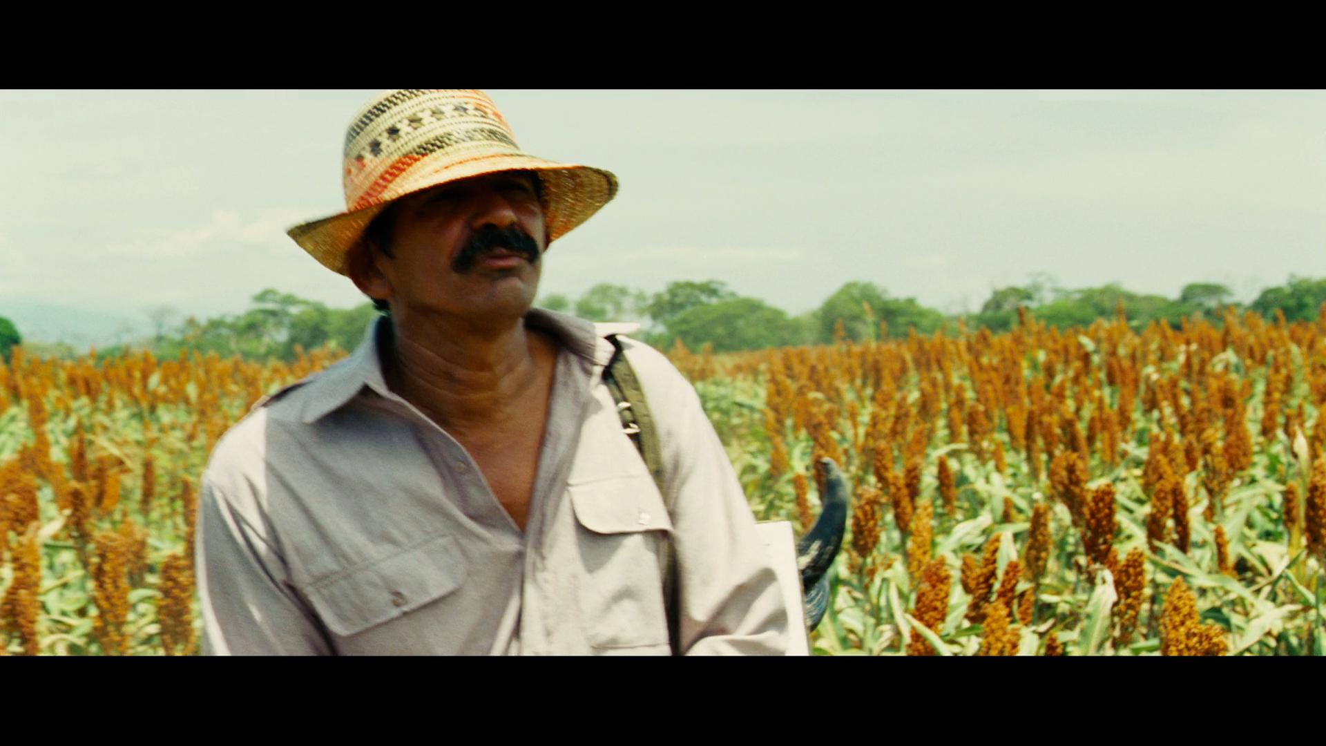 风的旅程 [英文字幕].The.Wind.Journeys.2009.REPACK.1080p.AMZN.WEB-DL.DDP2.0.H.264-KHEZU 8.01GB-3.png