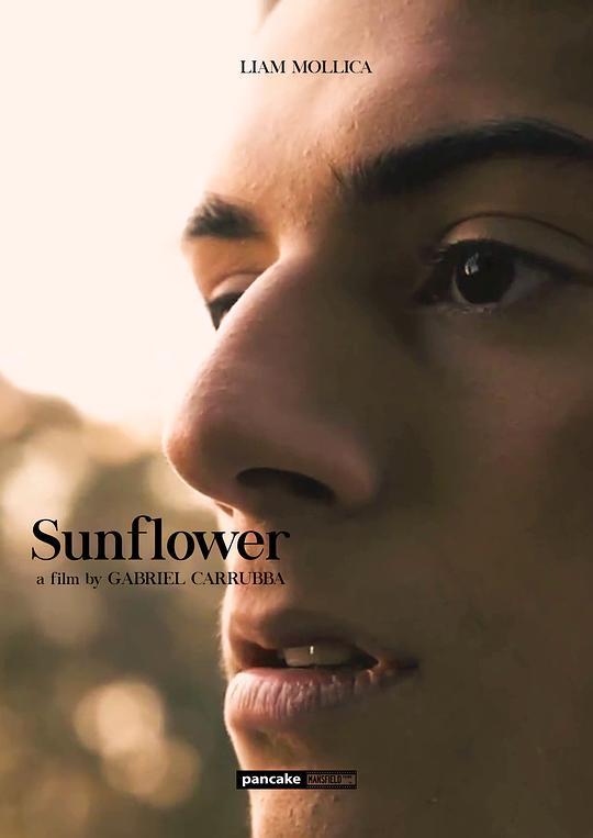 向日葵 [中文字幕].Sunflower.2023.1080p.HamiVideo.WEB-DL.AAC2.0.H.264-DreamHD 4.48GB-1.png