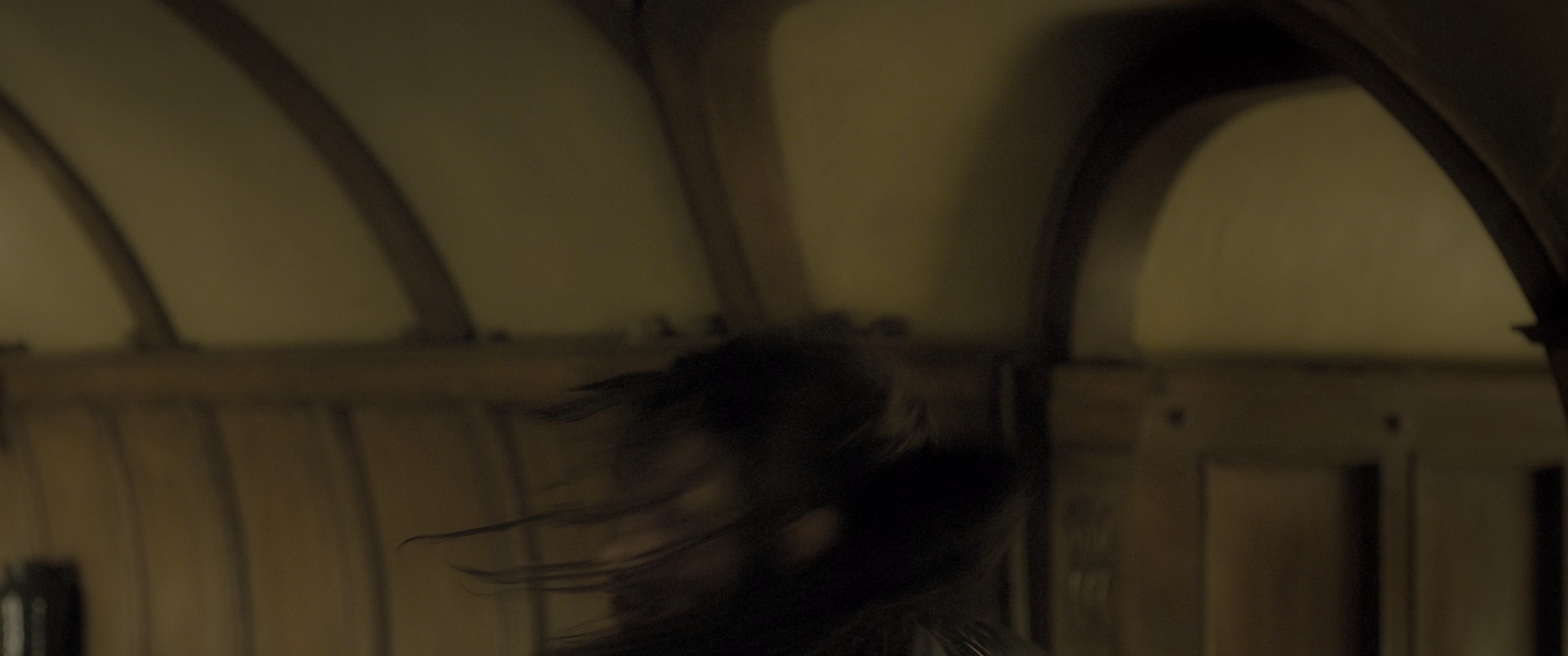 霍比特人1：意外之旅 [HDR/杜比视界双版本][简繁英字幕].2012.2160p.BluRay.DoVi.x265.10bit.Atmos.TrueHD7.1-CTRLHD 40.77GB-1.png