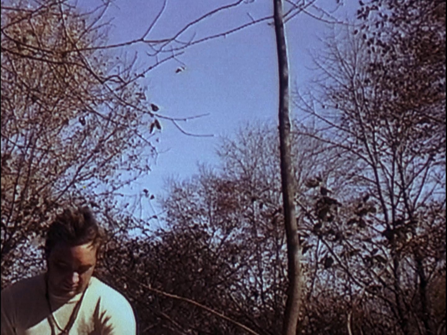 女巫布莱尔 [简繁英字幕].The.Blair.Witch.Project.1999.1080p.NF.WEB-DL.AAC.2.0.H.264-DreamHD 2.90GB-6.png