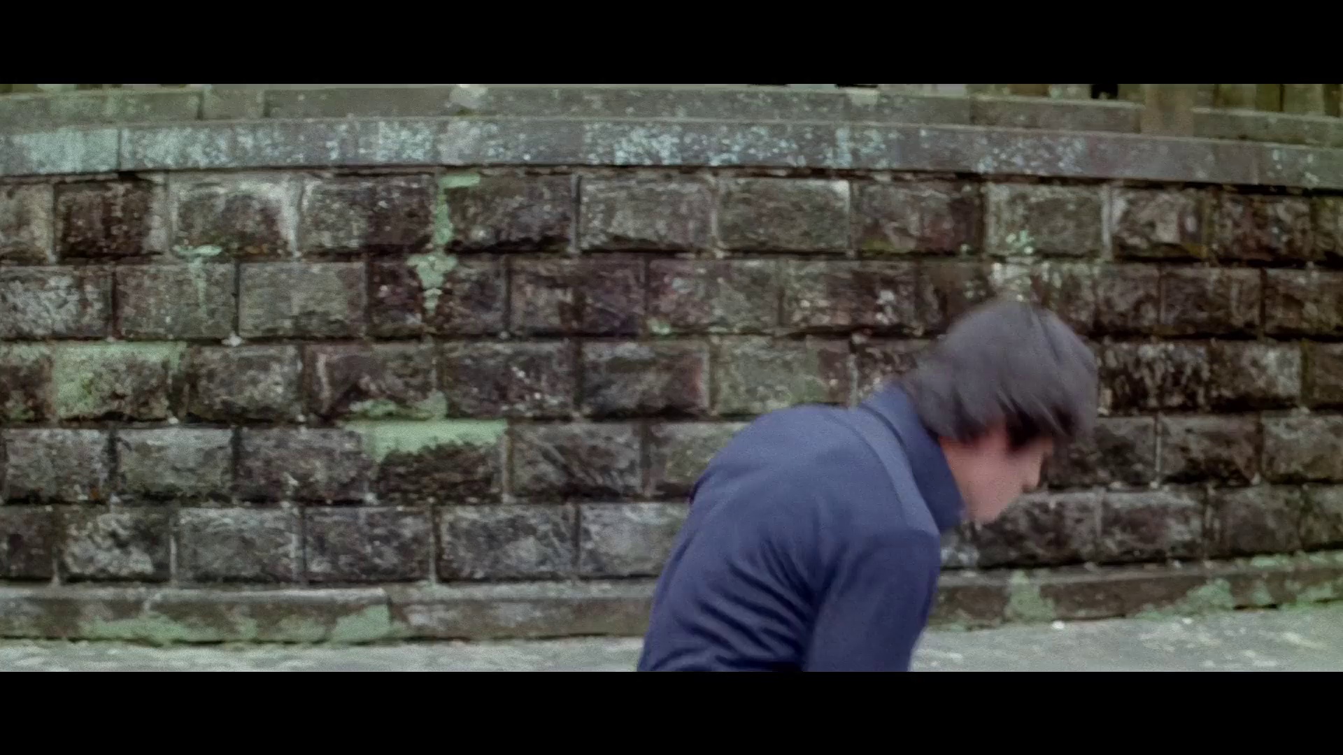 一代猛龙 [国语配音/中文字幕].Dragon.Dies.Hard.1975.BluRay.1080p.AAC.x264-DreamHD 2.58GB-2.png
