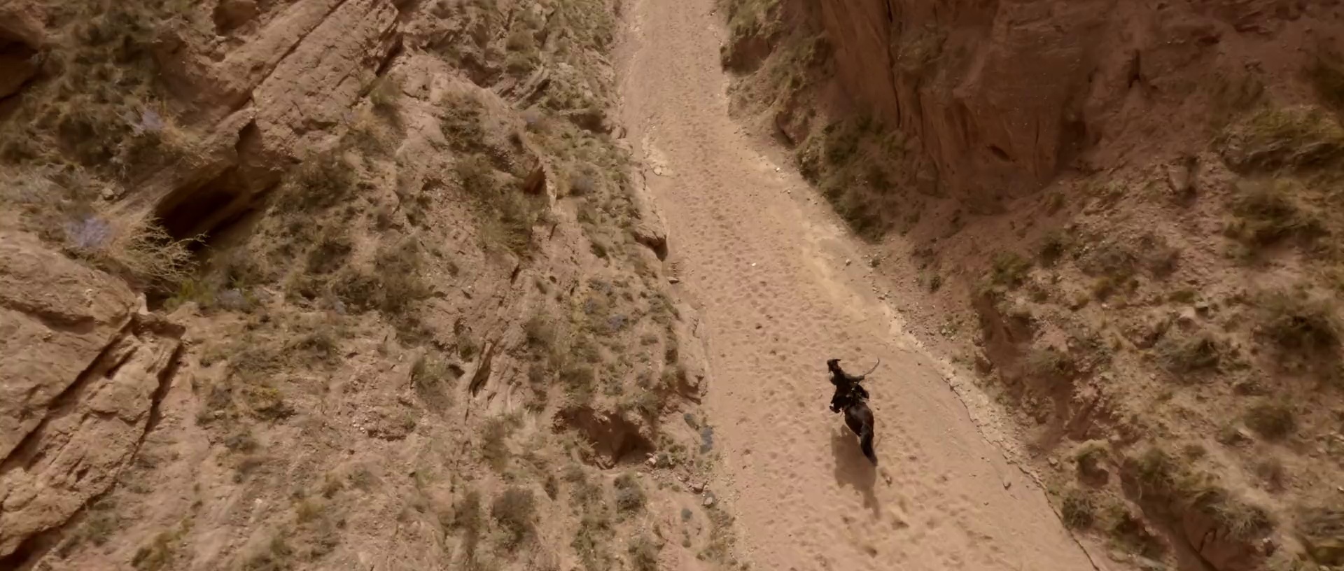 醉刀客 [国语配音/中文字幕].The.Killer.of.Swordsmen.2025.2160p.WEB-DL.H265.AAC-QuickIO 3.30GB-3.png