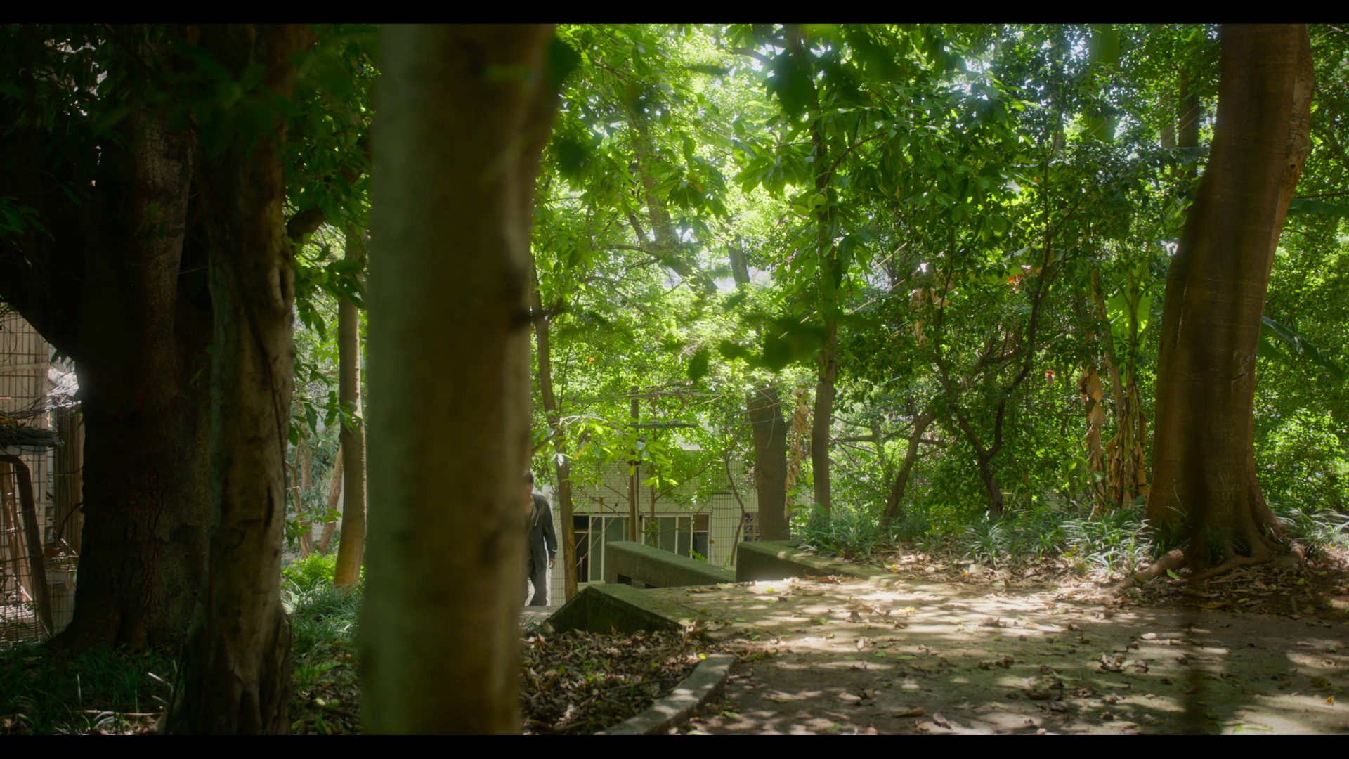 野孩子 [国语配音/中文字幕].Stand.by.Me.2024.1080p.NF.WEB-DL.DDP5.1.H264-PandaQT 5.00GB-3.png