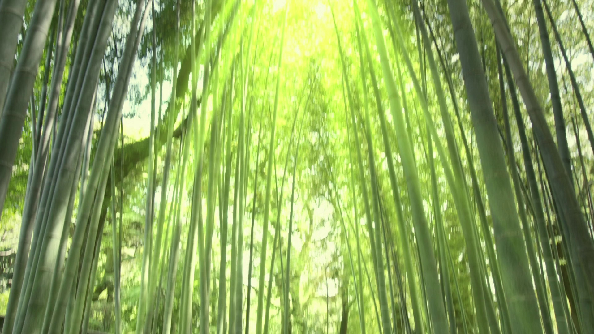 圣刃＋全开者.超级英雄战记 [无字片源].2021.1080p.AMZN.WEB-DL.x264.DDP5.1-QuickIO 5.18GB-4.png