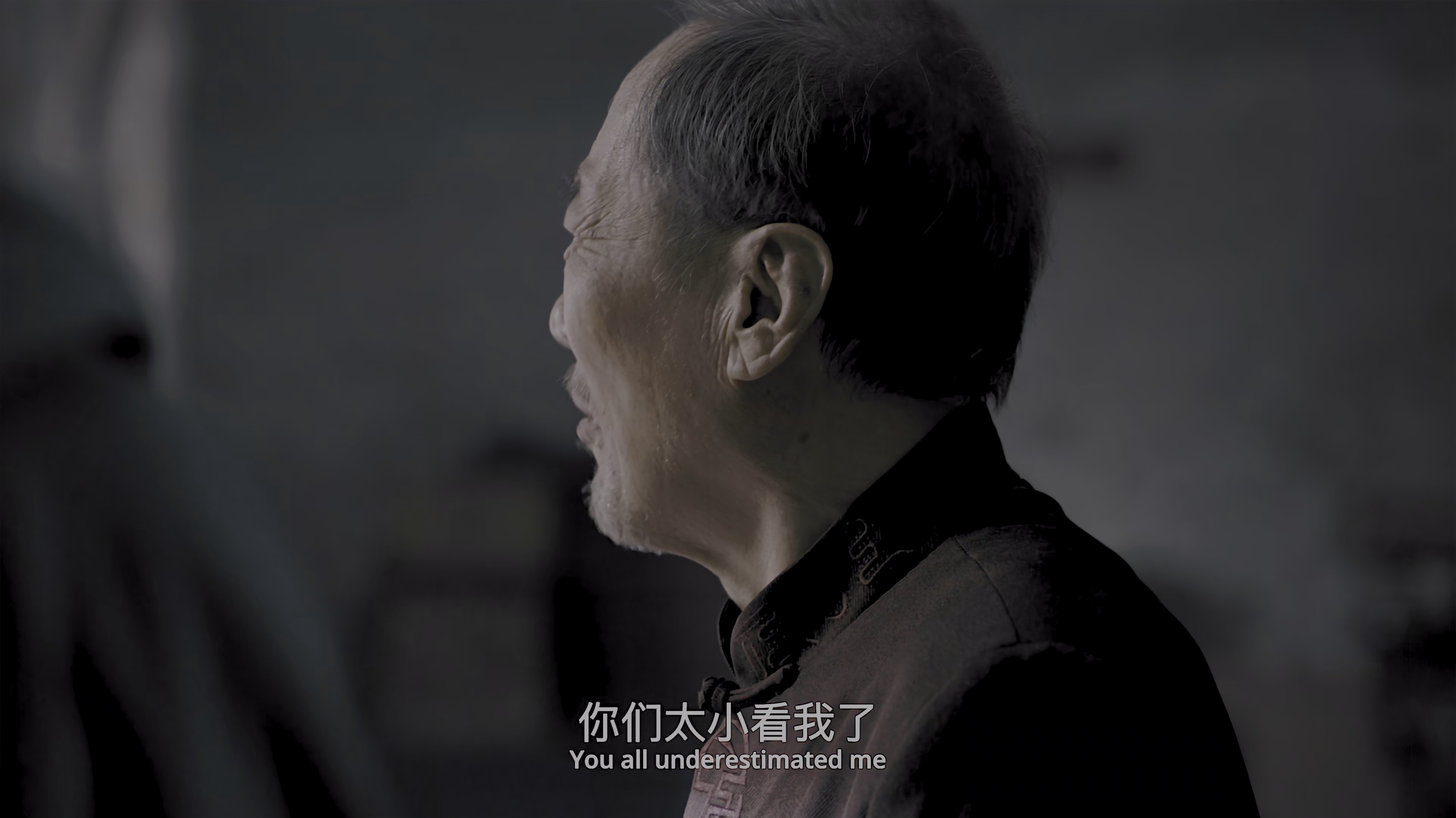 向光花盛开 [国语配音/中文字幕].A.Journey.of.Blossoms.2025.2160p.WEB-DL.H265.HDR.DDP5.1-QuickIO 6.72GB-2.png