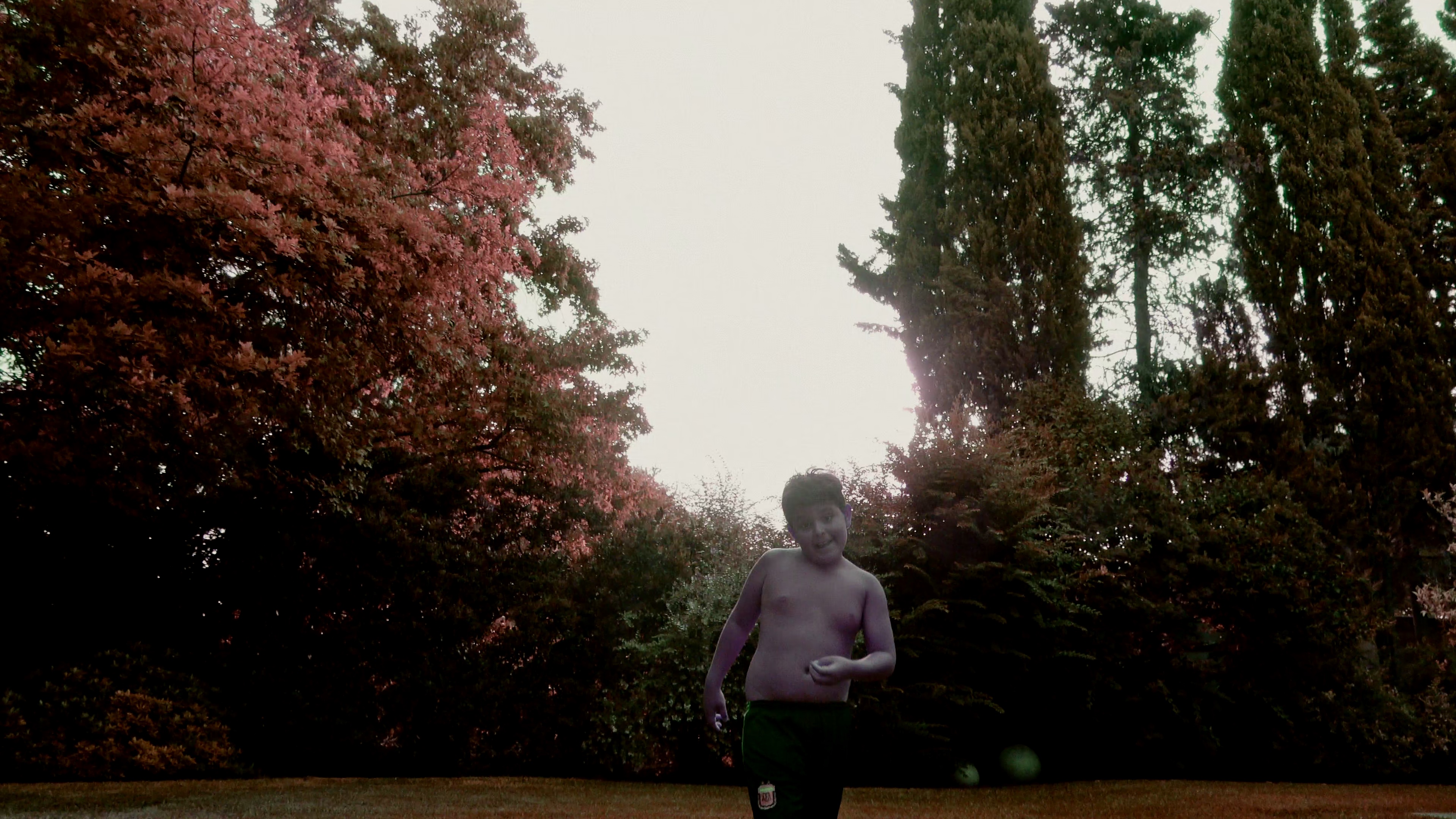 拉里·埃斯波西托：时光之歌 [简繁英字幕].2025.2160p.NF.WEB-DL.DDP.5.1.Atmos.HDR10.H.265-DreamHD 10.19GB-2.png