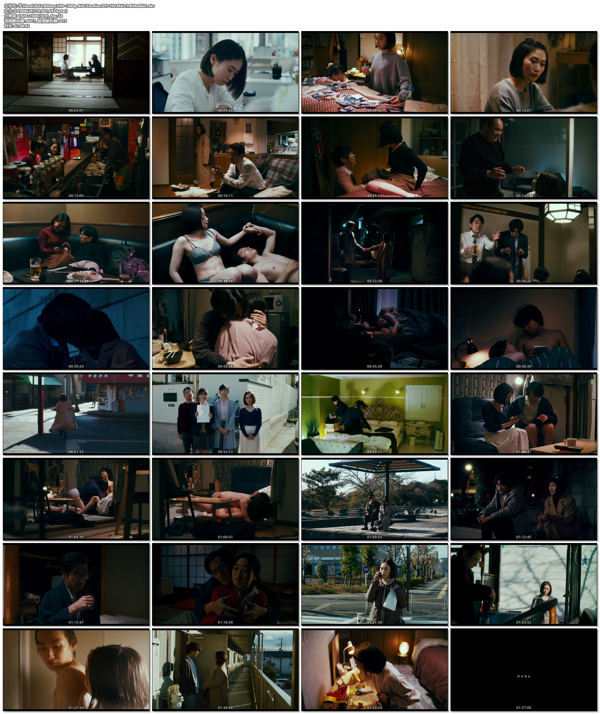 手. Hand.2022.BluRay.FHD-1080p.AVC.2Audios.DTS-HD.MA5.1.BitRabbit 25GB  德版蓝光 原盘文件 Hand.2022.MULTi.COMPLETE.BLURAY-XORBiTANT-2.jpg