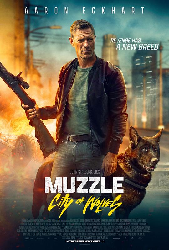 神探忠犬2：狼之城 [简繁英字幕].Muzzle.City.Of.Wolves.2025.Bluray.1080p.DTS-HDMA5.1.x264-DreamHD 11.76GB-1.png