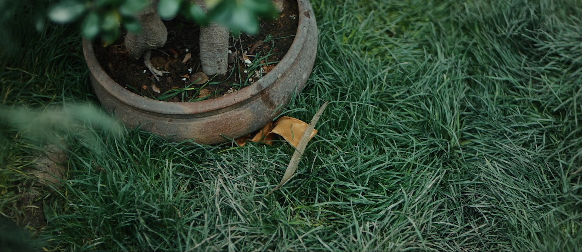 狄仁杰之彼岸奇花 [无字片源].Detective.Dee.The.Other.Shore.Flower.2025.1080p.WEB-DL.H264.AAC-QuickIO 1.08GB-3.png