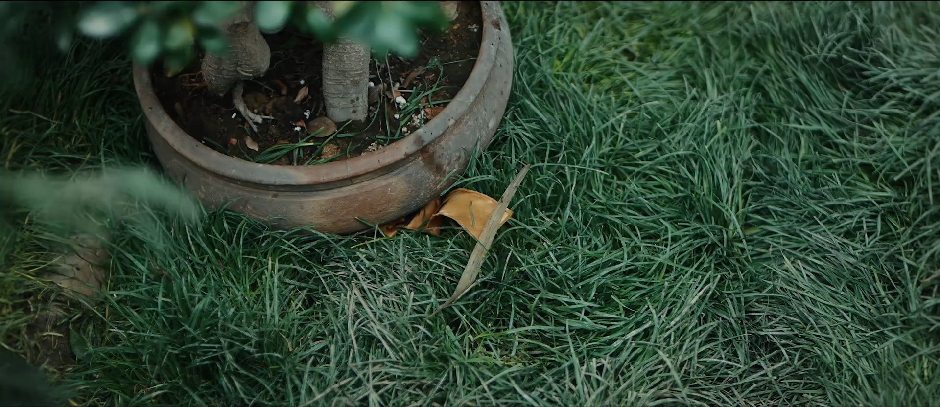 狄仁杰之彼岸奇花 [国语配音/中文字幕].Detective.Dee.The.Other.Shore.Flower.2025.1080p.WEB-DL.H264.AAC-PandaQT 0.61GB-3.png