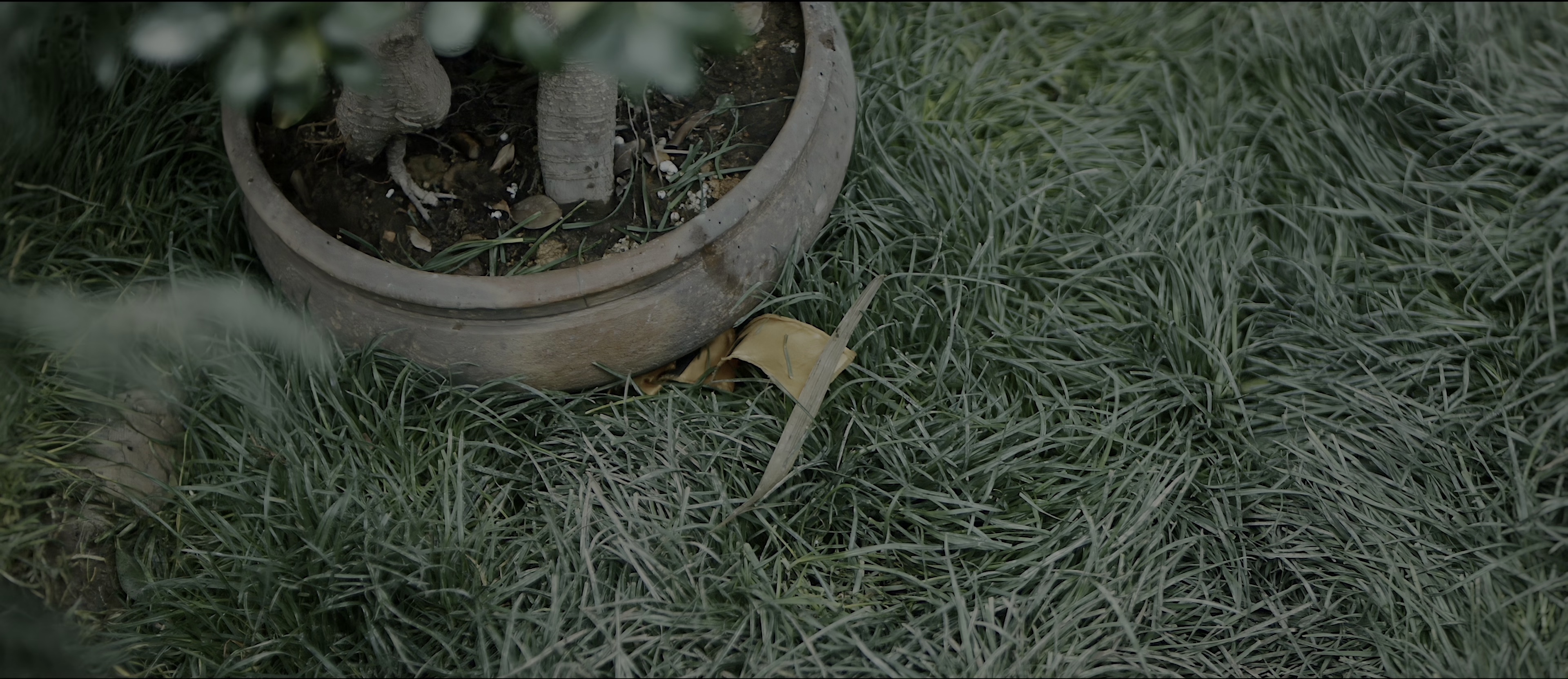 狄仁杰之彼岸奇花 [60帧率版本][高码版][国语配音/中文字幕].2025.2160p.WEB-DL.H265.HQ.60fps.AAC-PandaQT 11.43GB-3.png