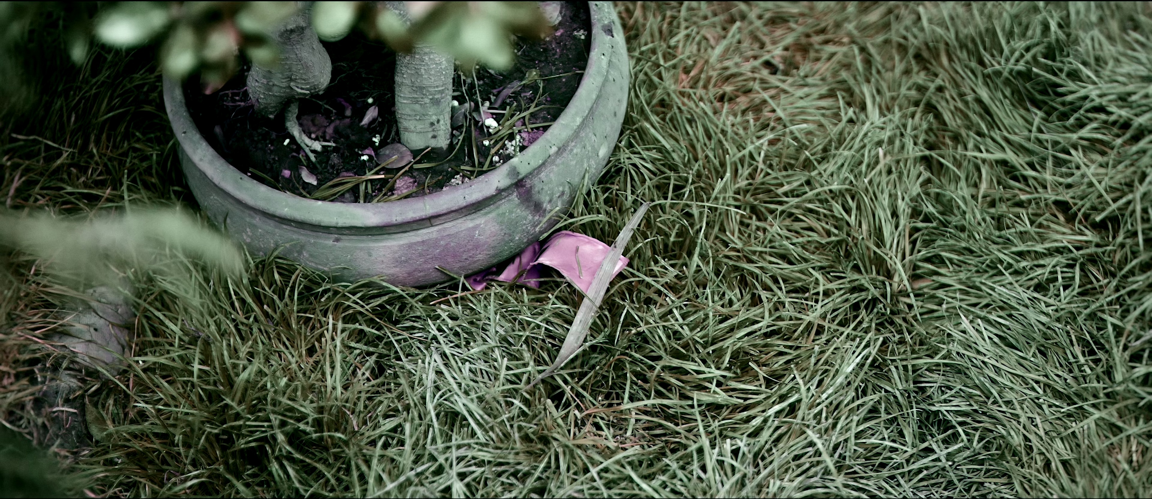 狄仁杰之彼岸奇花 [60帧率版本][杜比视界版本][高码版][国语配音/中文字幕].2025.2160p.WEB-DL.H265.HQ.DV.60fps.AAC-PandaQT 16.23GB-3.png