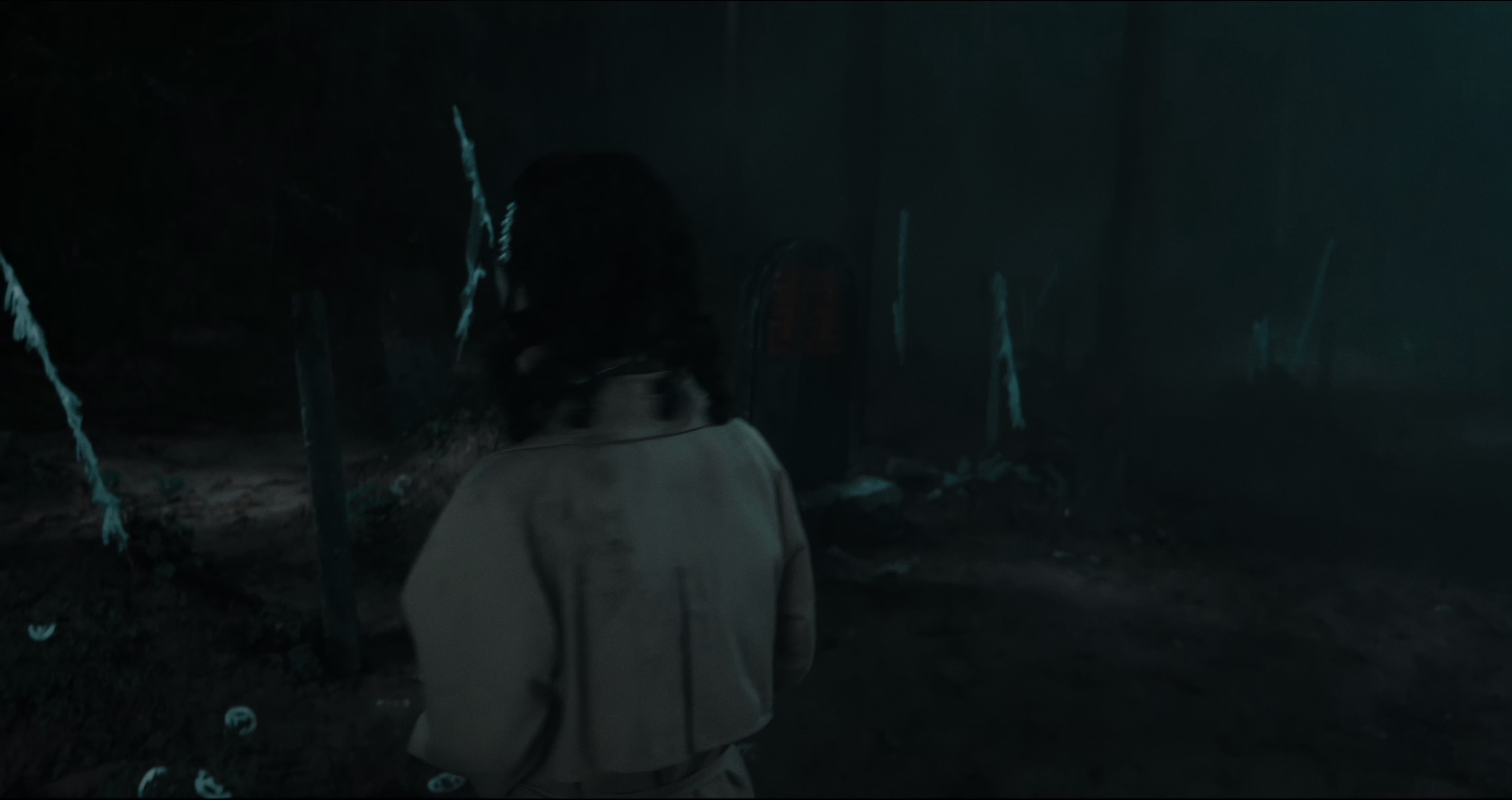 巫咒 [60帧率版本][杜比视界版本][高码版][国语配音/中文字幕].2025.2160p.WEB-DL.H265.HQ.DV.60fps.AAC-PandaQT 16.77GB-4.png