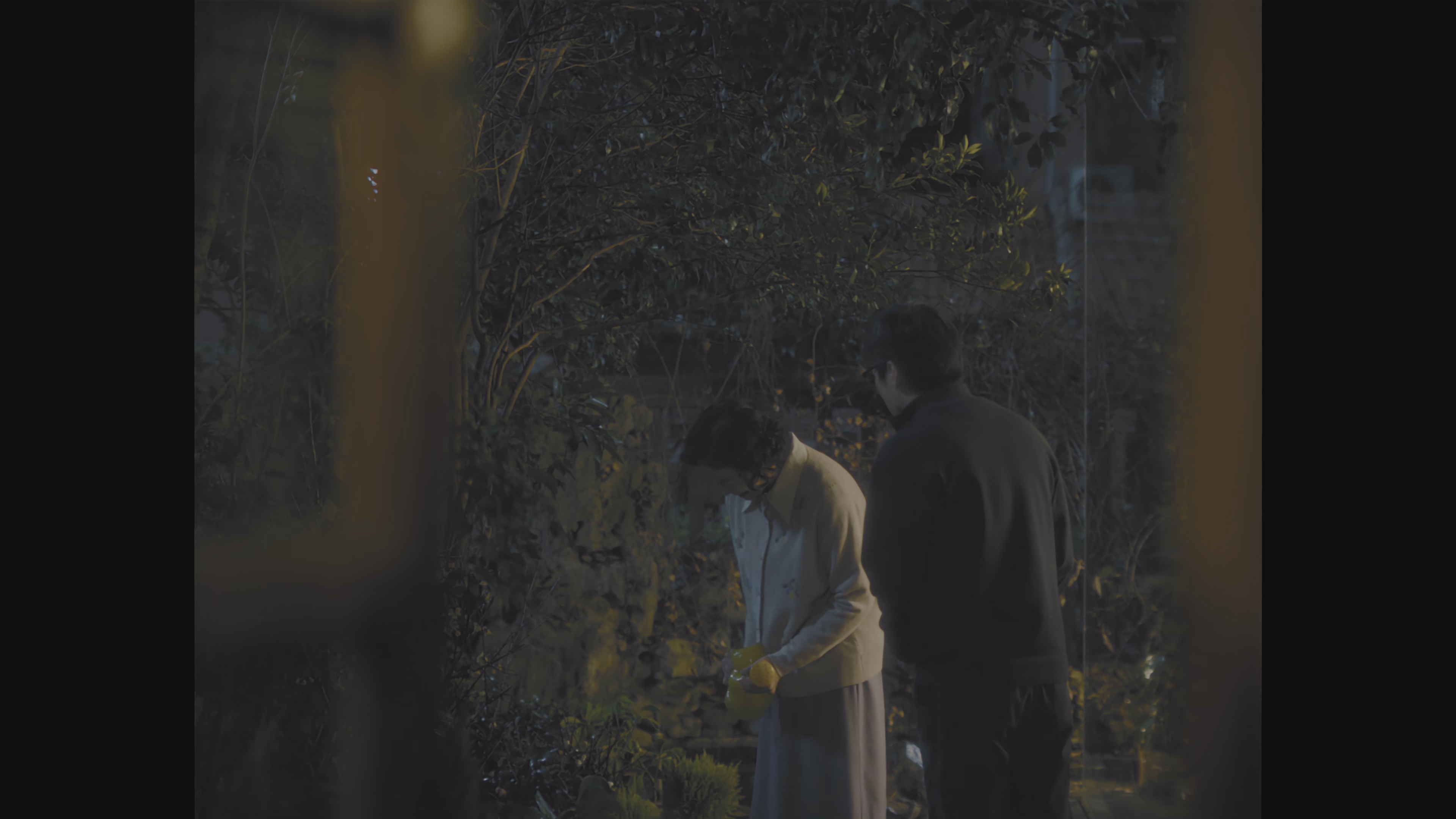 阳光俱乐部 [无字片源].Mostly.Sunny.2024.2160p.WEB-DL.H265.HDR.DDP5.1-QuickIO 4.00GB-5.png