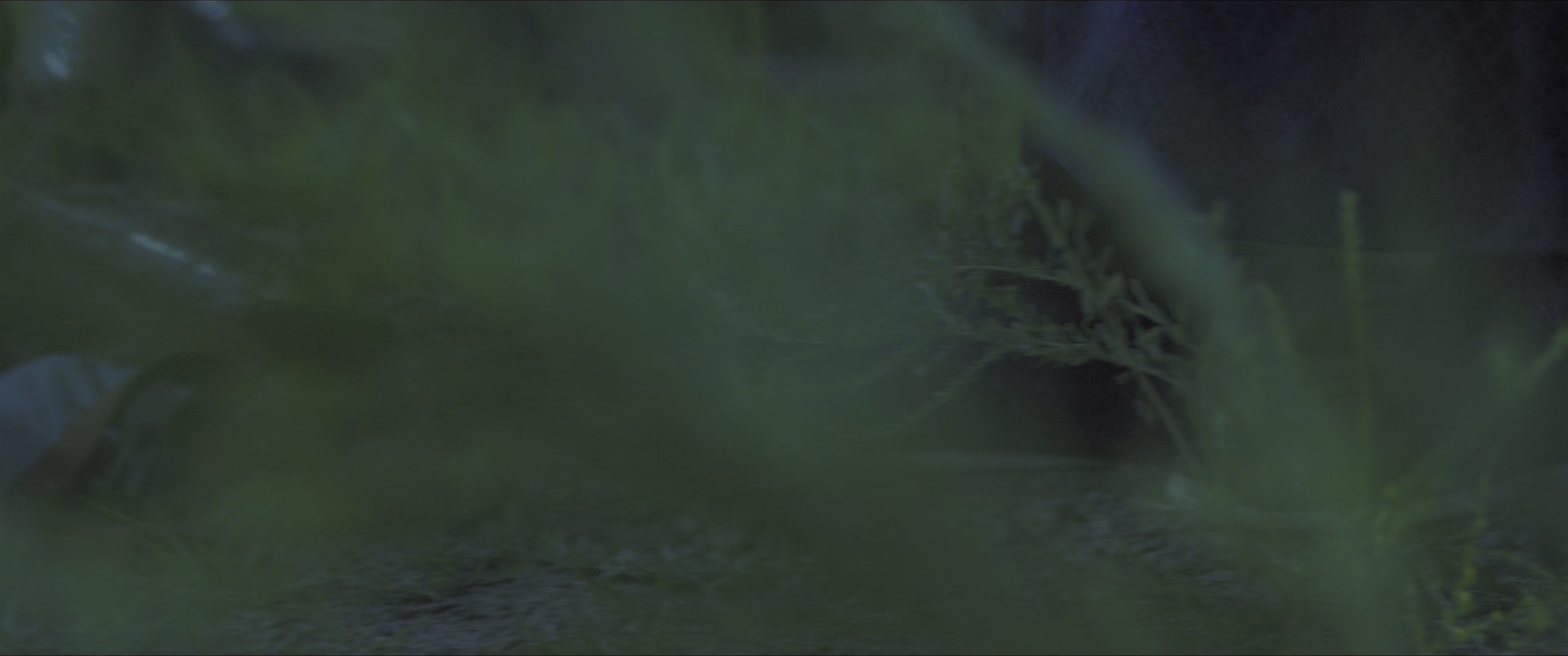 九龙挎刀去白马 [国语配音/中文字幕].Bound.By.a.Promise.2025.2160p.WEB-DL.H265.HDR.DDP5.1-PandaQT 6.34GB-4.png