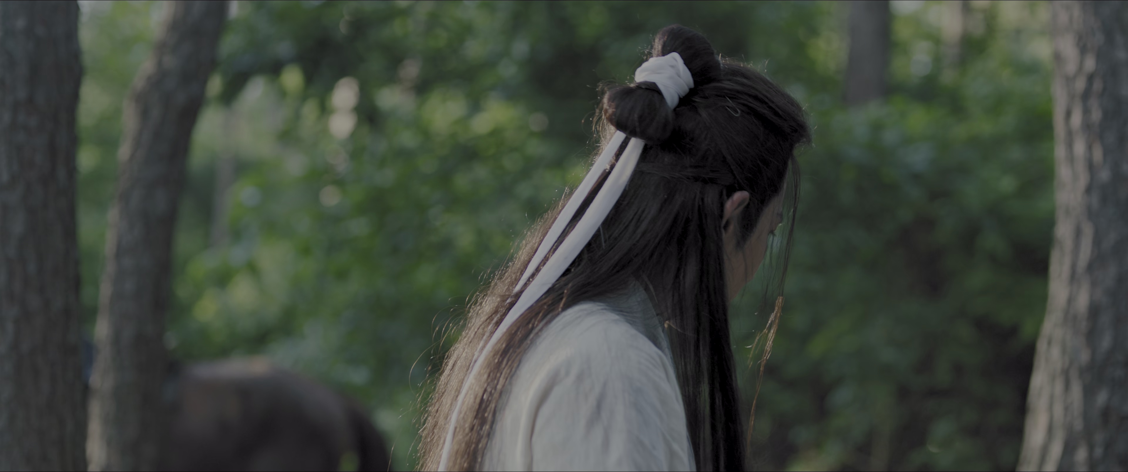 九龙挎刀去白马 [国语配音/中文字幕].Bound.By.a.Promise.2025.2160p.WEB-DL.H265.HDR.DDP5.1-PandaQT 6.34GB-5.png