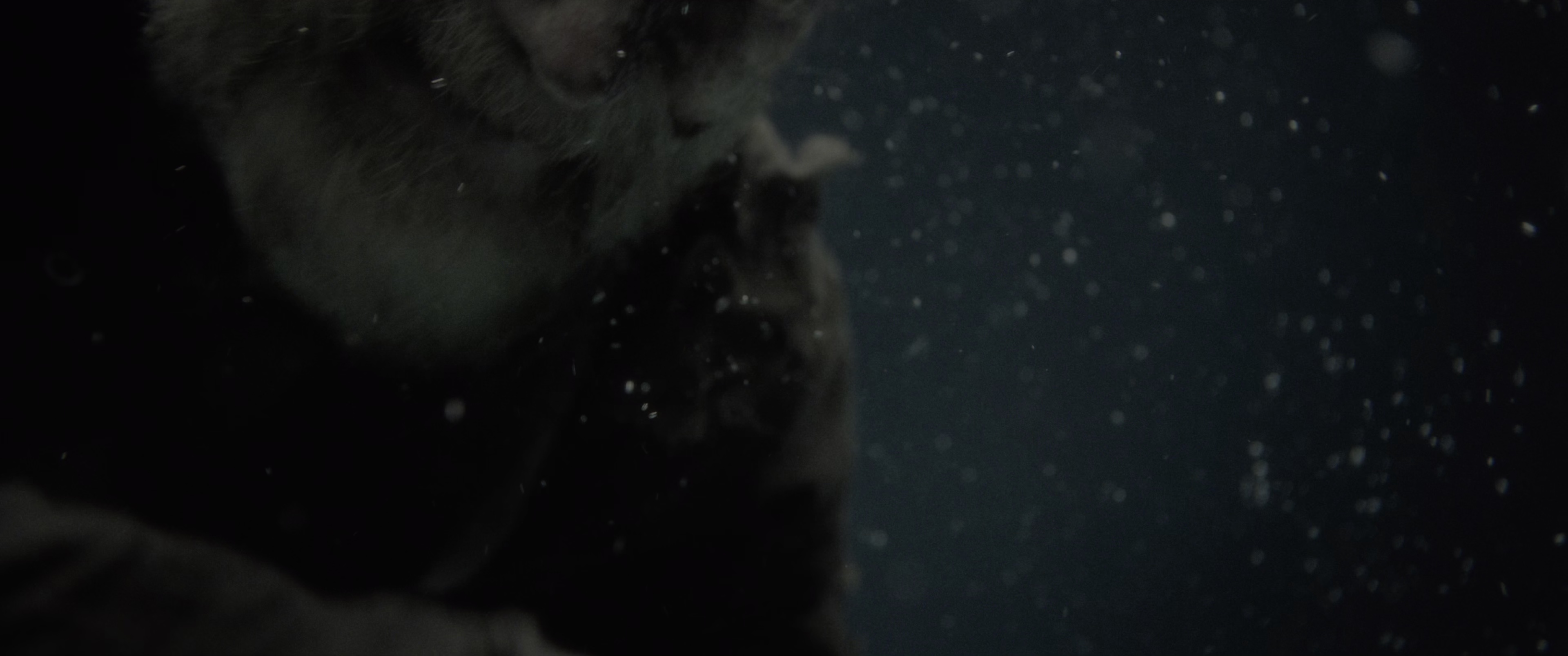 永生战士 2[简繁英字幕].Sisu.Road.to.Revenge.2025.2160p.iTunes.WEB-DL.DDP.5.1.Atmos.HDR10/.H.265-DreamHD 15.79GB-4.png