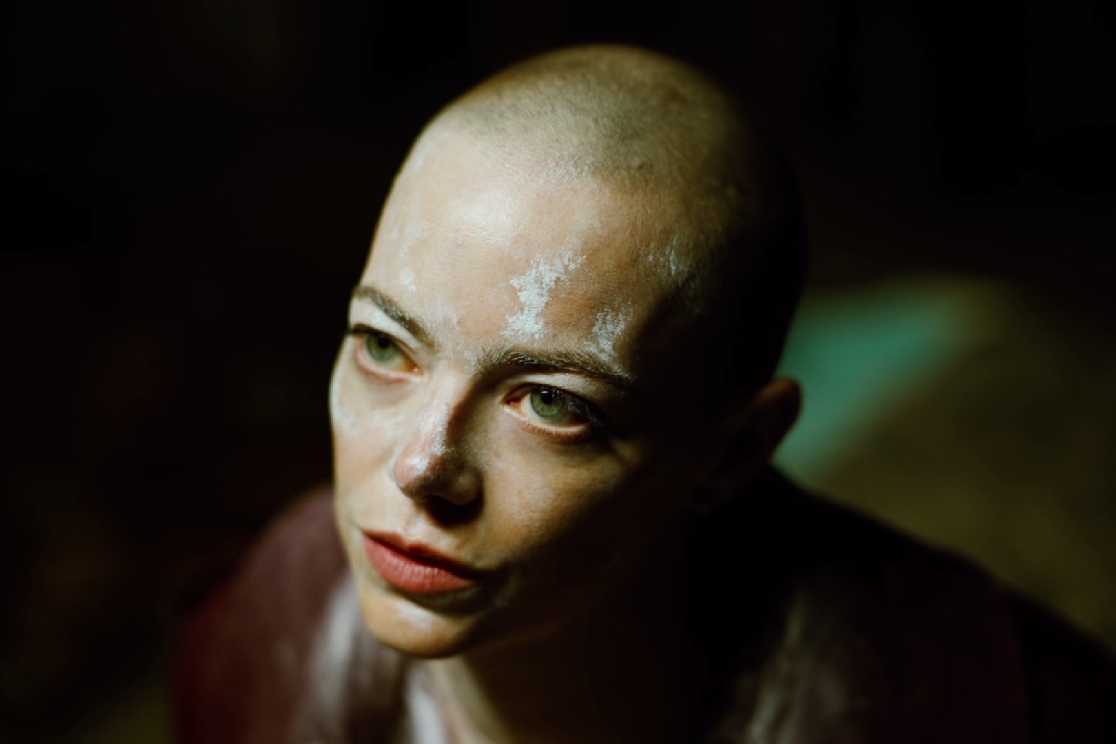 拯救地球 [中文字幕/特效字幕].Bugonia.2025.BluRay.1080p.TrueHD7.1.x265.10bit-DreamHD 6.57GB-4.png