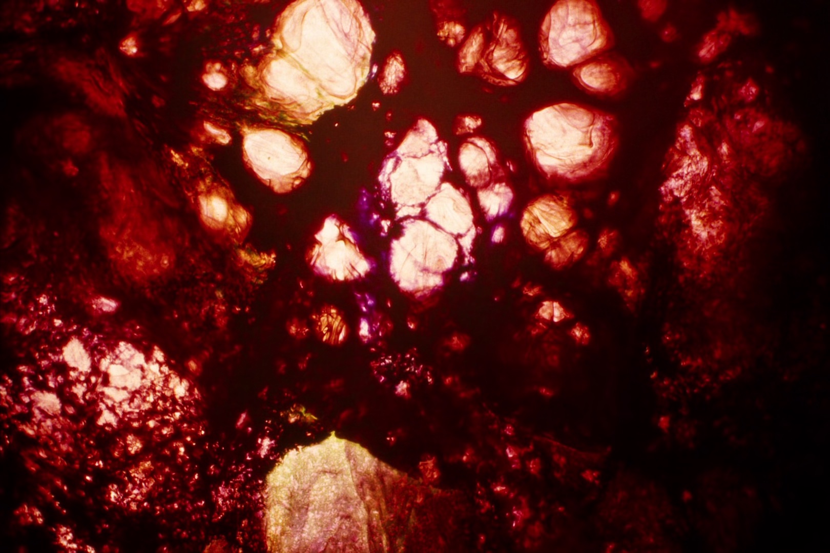 拯救地球 [中文字幕/特效字幕].Bugonia.2025.BluRay.1080p.TrueHD7.1.x265.10bit-DreamHD 6.57GB-7.png