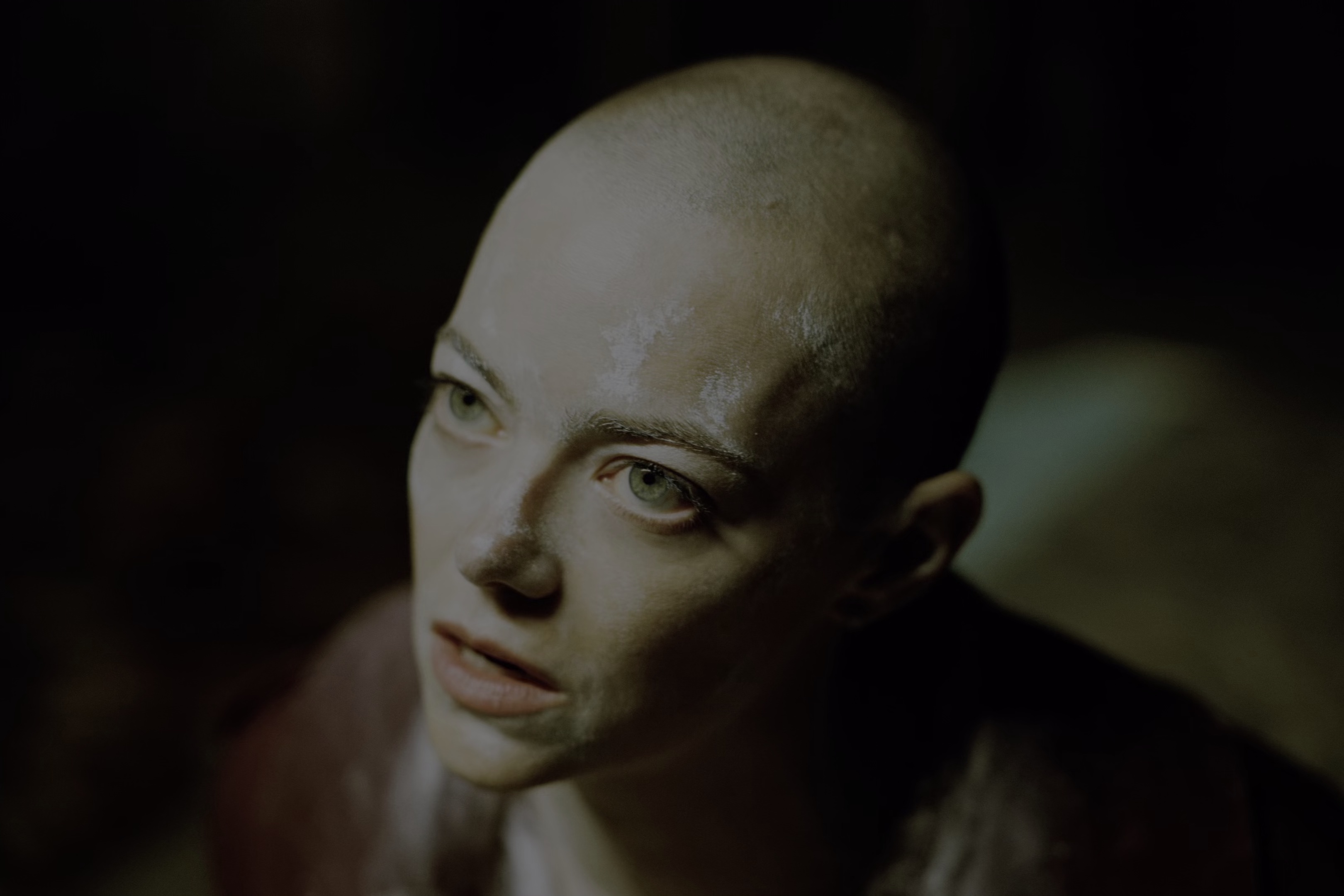 拯救地球 [中文字幕/特效字幕].Bugonia.2025.BluRay.2160p.TrueHD7.1.HDR.x265.10bit-DreamHD 22.22GB-4.png