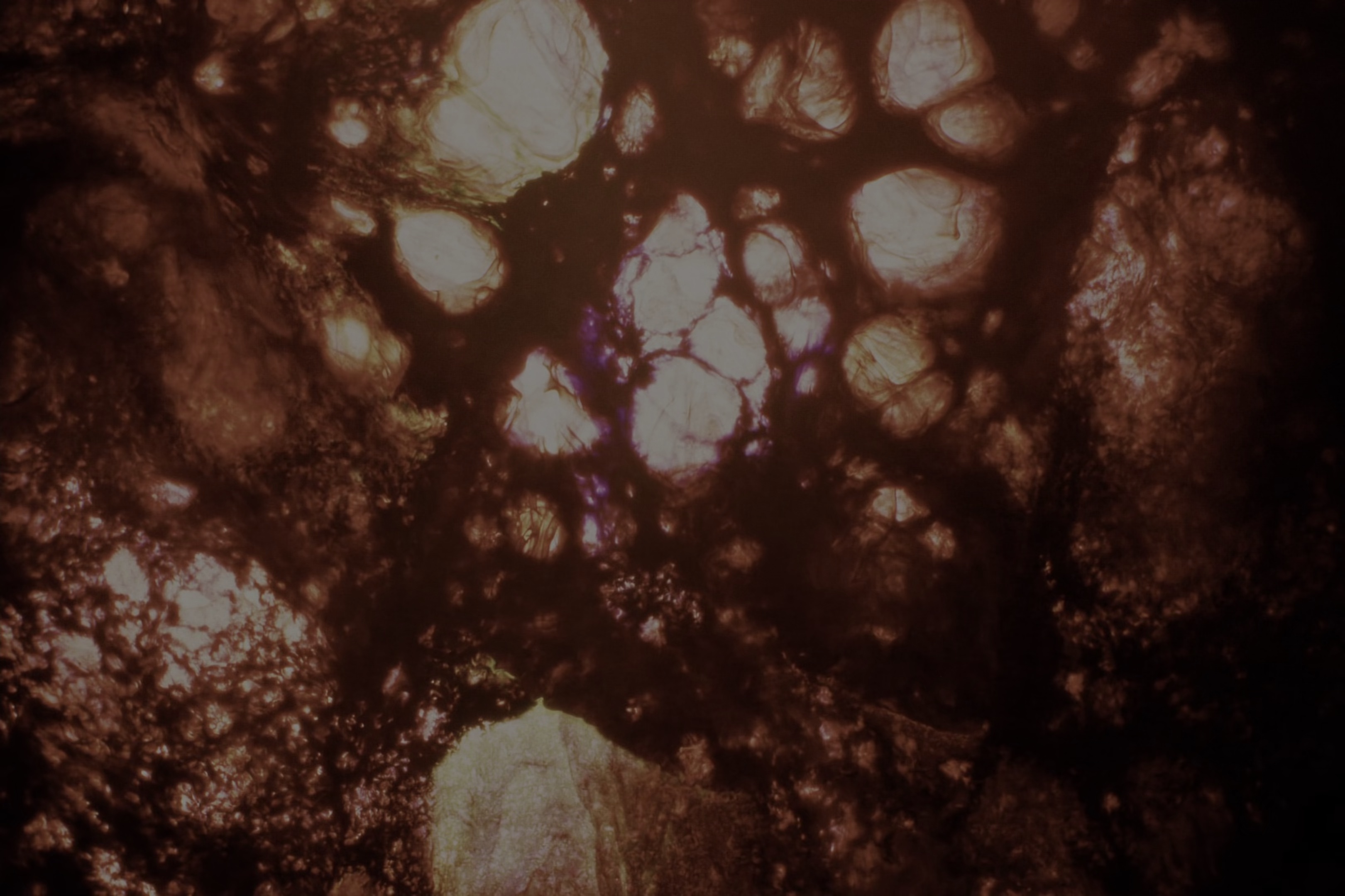 拯救地球 [中文字幕/特效字幕].Bugonia.2025.BluRay.2160p.TrueHD7.1.HDR.x265.10bit-DreamHD 22.22GB-7.png