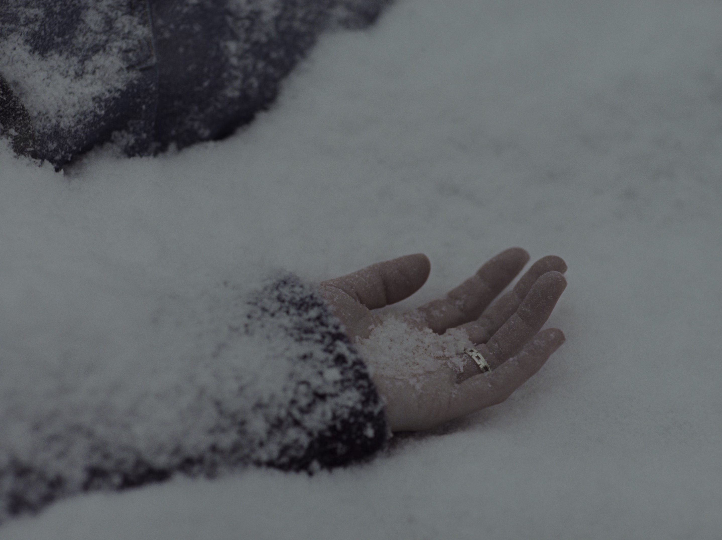 长翅膀的东西 [无字片源].The.Thing.with.Feathers.2025.2160p.iTunes.WEB-DL.DDP.5.1.Atmos.HDR10/.H.265-DreamHD 17.37GB-4.png