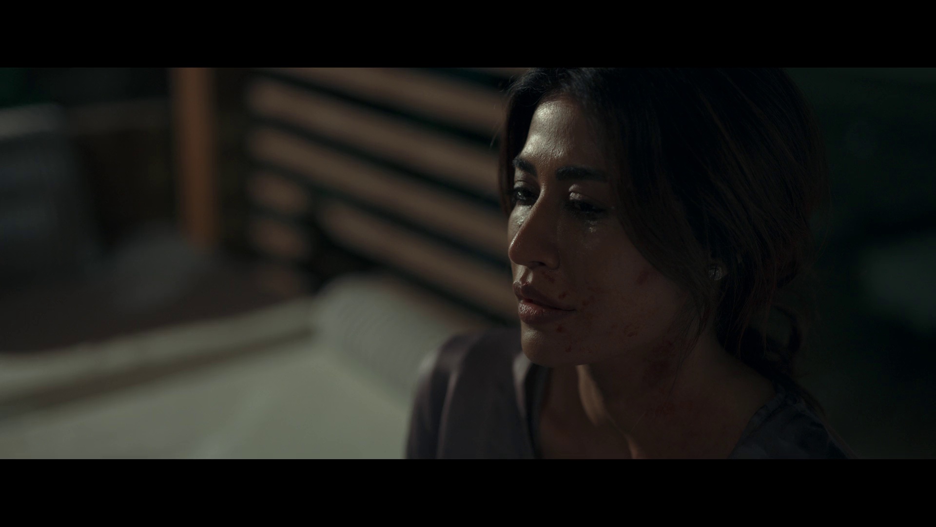 孤夜：豪门血案 [中文字幕].Raat.Akeli.Hai.The.Bansal.Murders.2025.1080p.NF.WEB-DL.DDP5.1.Atmos.H264-PandaQT 5.95GB-3.png