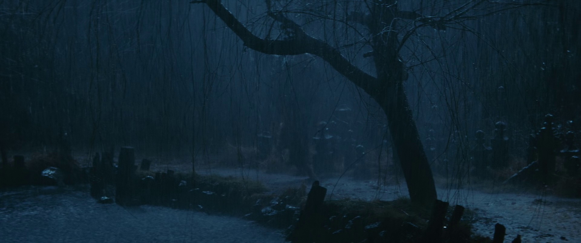 刺青 [中文字幕].Irezumi.1966.Bluray.1080p.AAC1.0.x264-DreamHD 2.51GB-3.png