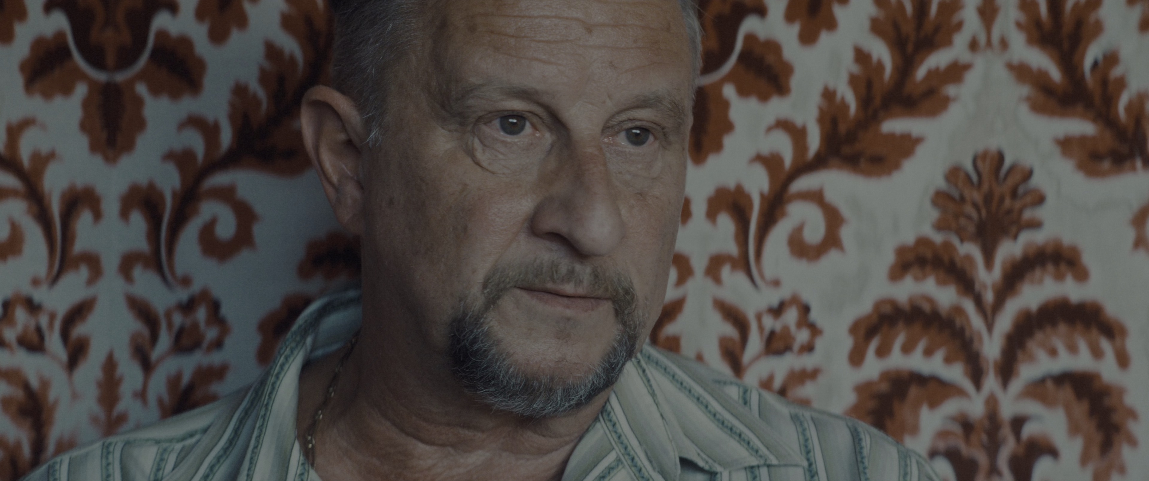 狂爱 [HDR/杜比视界双版本][简繁英字幕].L.amour.ouf.2024.Bluray.2160p.TrueHD7.1.DoVi.HDR.x265.10bit-DreamHD 37.65GB-5.png