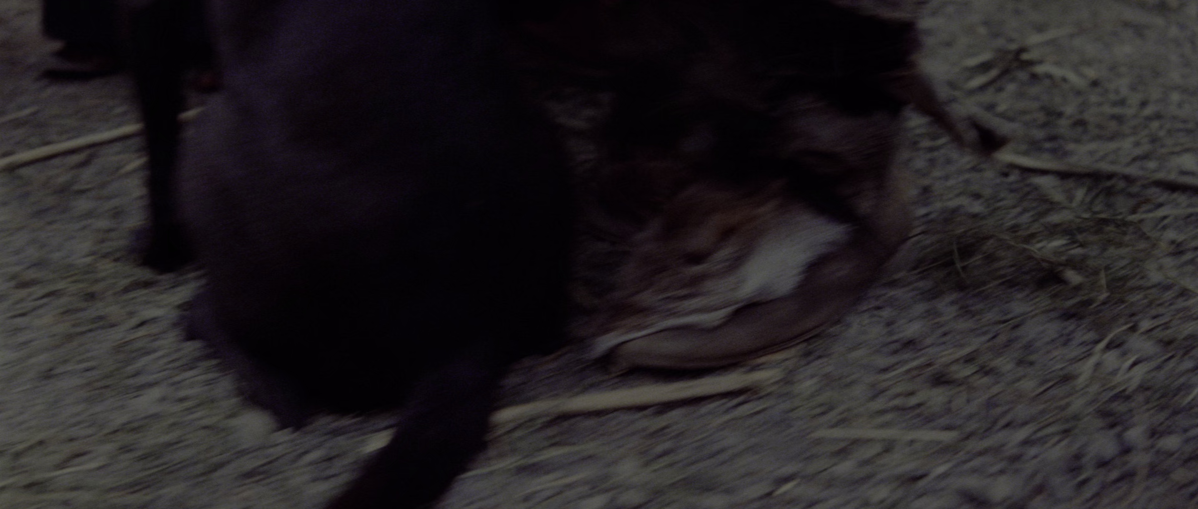 野蛮人柯南 [HDR/杜比视界双版本][简繁英字幕].1982.2160p.UHD.BluRay.DV.x265.10bit.TrueHD.7.1.Atmos-ParkHD 24.00GB-3.png