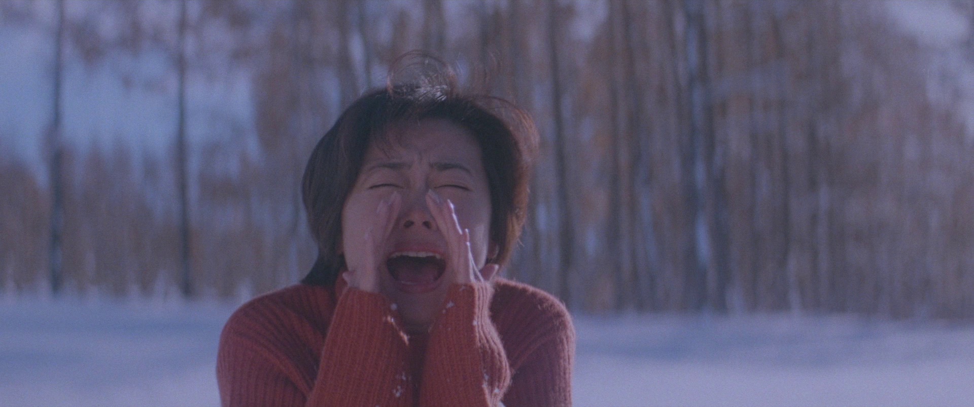 情书 [简繁字幕].Love.Letter.1995.RERiP.1080p.BluRay.x264.DTS-CTRLHD 15.00GB-7.png