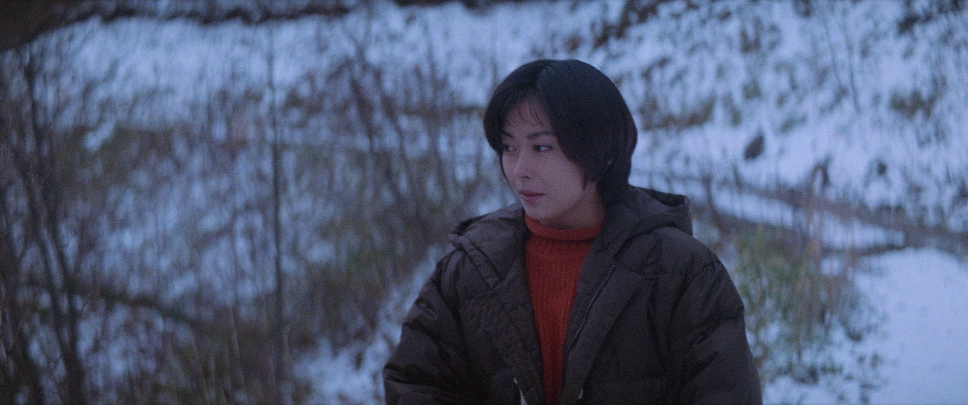 情书 [简繁字幕].Love.Letter.1995.RERiP.1080p.BluRay.x265.10bit.DTS-CTRLHD 8.00GB-6.png