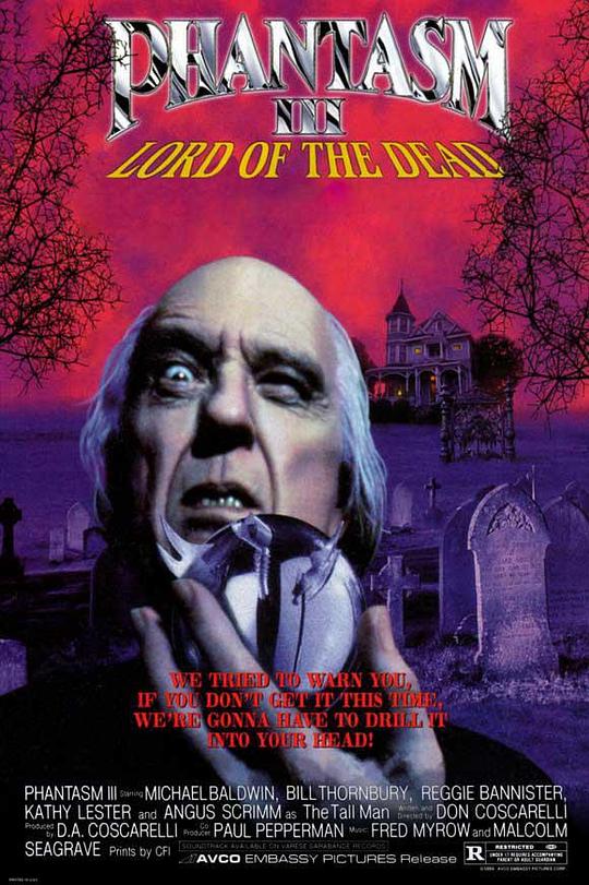 鬼追人3 [简繁英字幕].Phantasm.III.Lord.of.the.Dead.1994.1080p.BluRay.x265.10bit.DTS-QuickIO 5.72GB-1.png