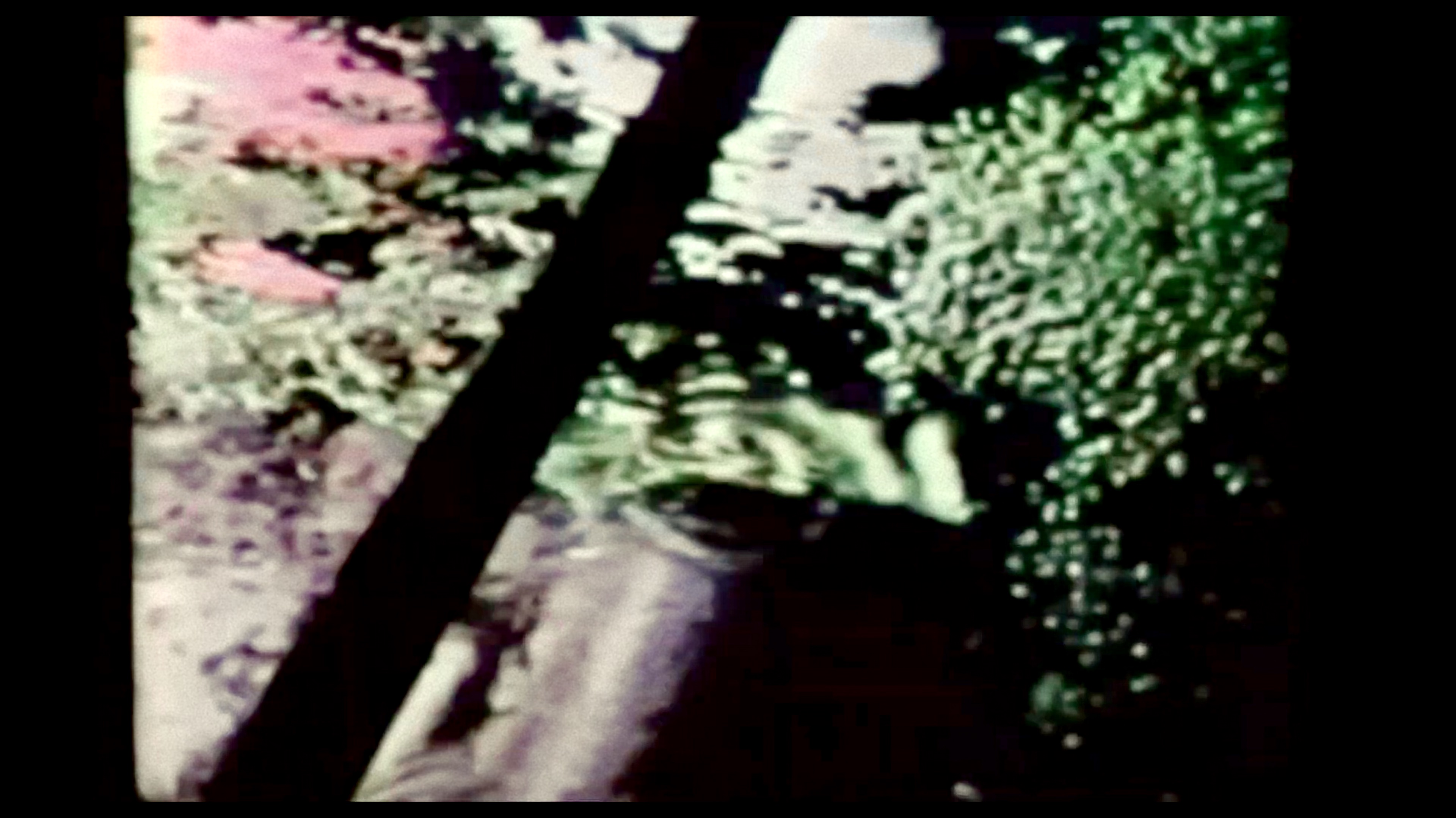 黑幕：调查记者的真相之路 [简繁英字幕].Cover-Up.2025.2160p.NF.WEB-DL.DDP.5.1.H.265-DreamHD 14.02GB-5.png