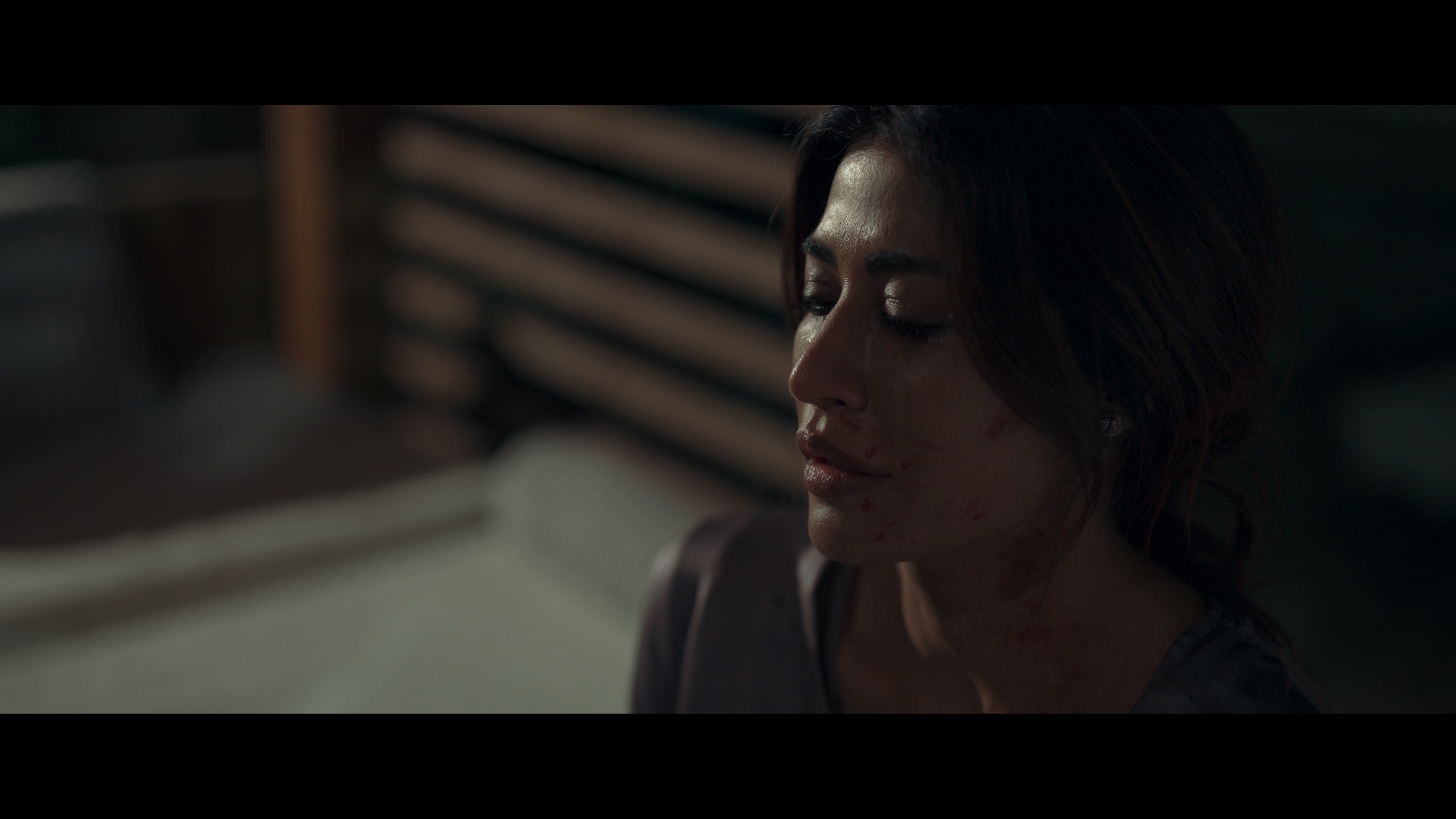 孤夜寻凶2 [简繁英字幕].Raat.Akeli.Hai-.The.Bansal.Murders.2025.2160p.NF.WEB-DL.DDP.5.1.Atmos.HDR10.H.265-DreamHD 10.84GB-3.png