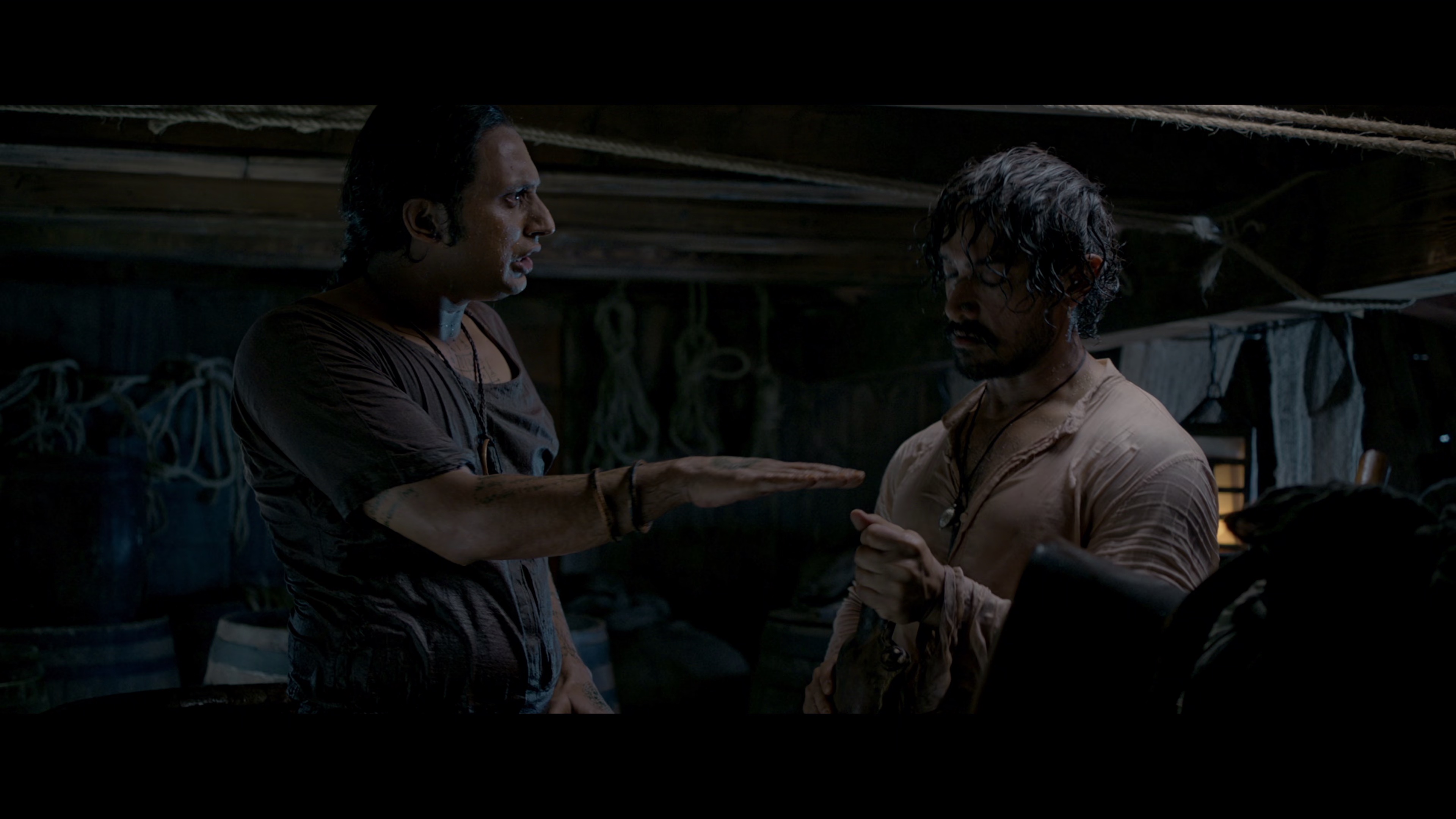 印度暴徒 [无字片源].Thugs.of.Hindostan.2018.2160p.NF.WEB-DL.DDP.5.1.H.265-DreamHD 14.55GB-3.png