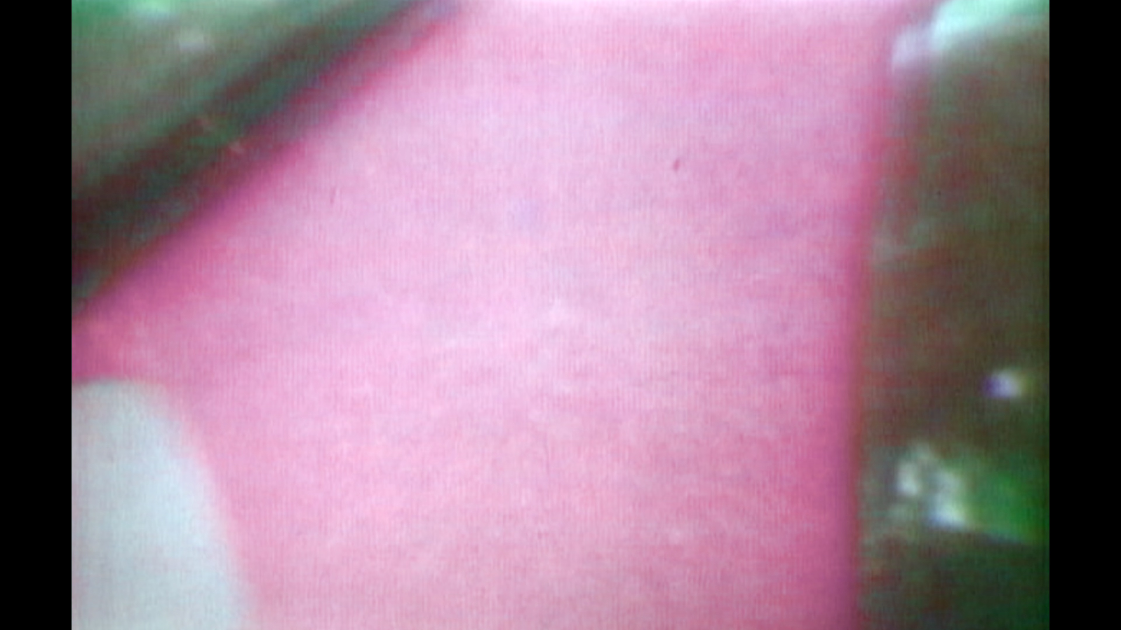 1975：天翻地覆的一年 [杜比视界版本][简繁英字幕].Breakdown.1975.2025.2160p.NF.WEB-DL.DDP5.1.Atmos.DV.H.265-PandaQT 12.96GB-7.png