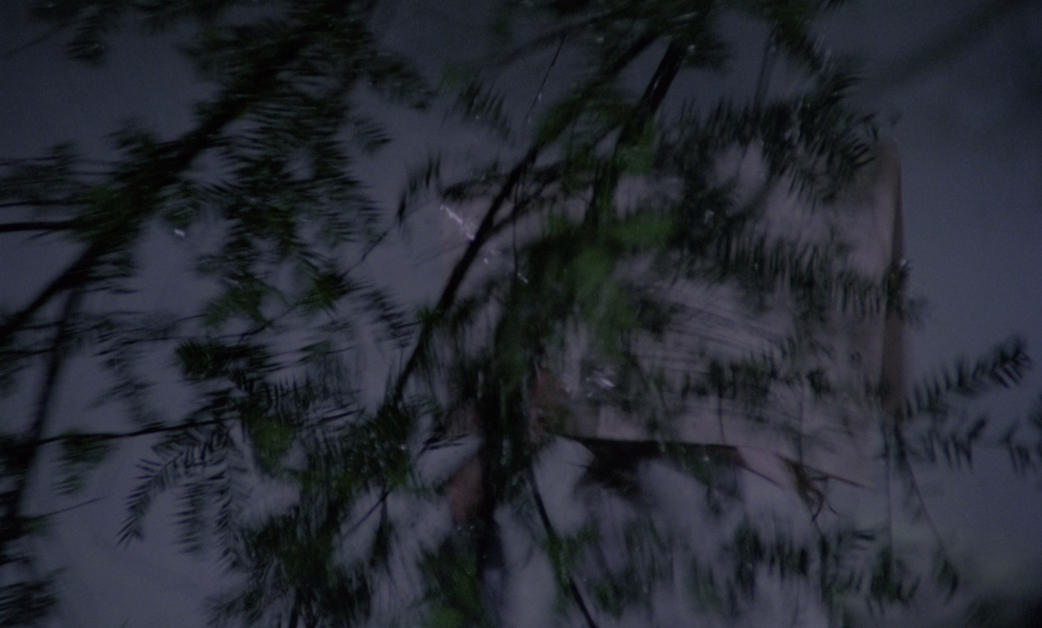 洛基恐怖秀 [HDR/杜比视界双版本][简繁英字幕].1975.2160p.UHD.BluRay.DV.x265.10bit.TrueHD.7.1-ParkHD 20.22GB-2.png